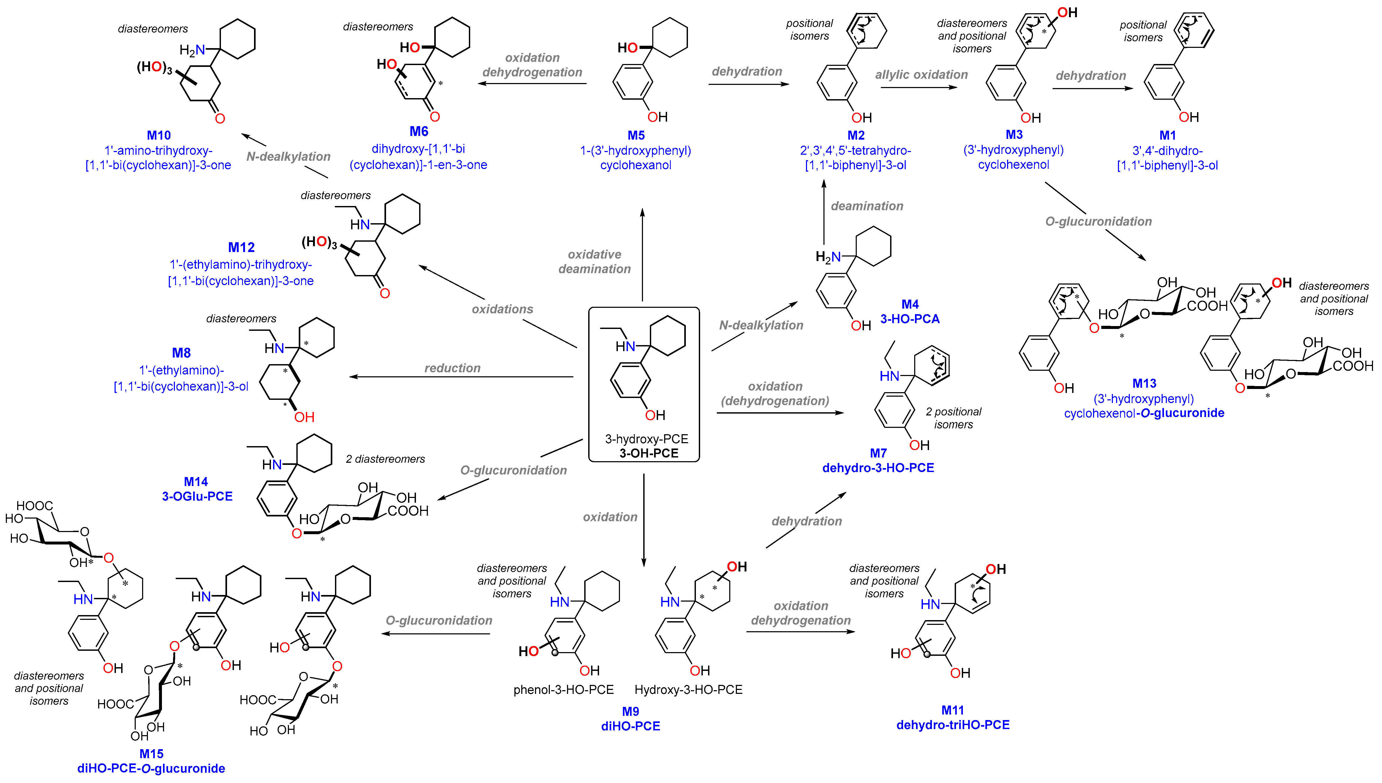Metabolites 13 00432 g002