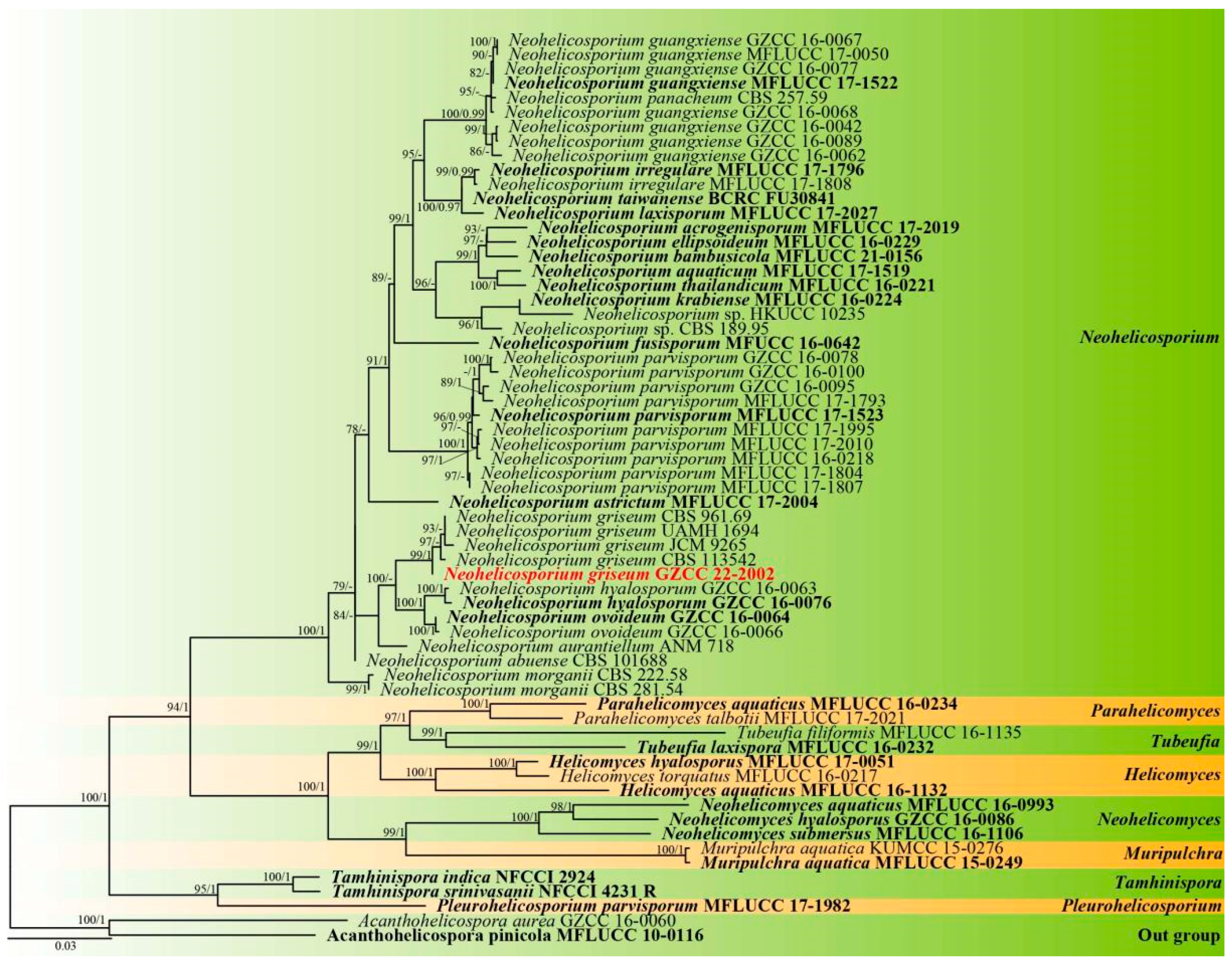 Metabolites 13 00435 g002 Metabolites 13 00435 g002
