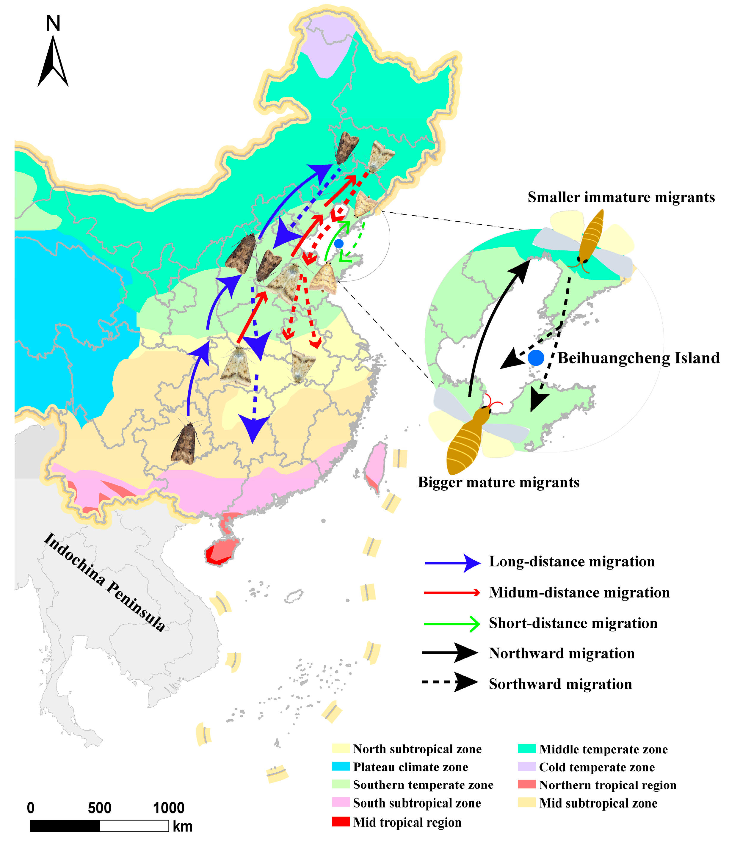 Metabolites 13 00439 g001 Metabolites 13 00439 g001