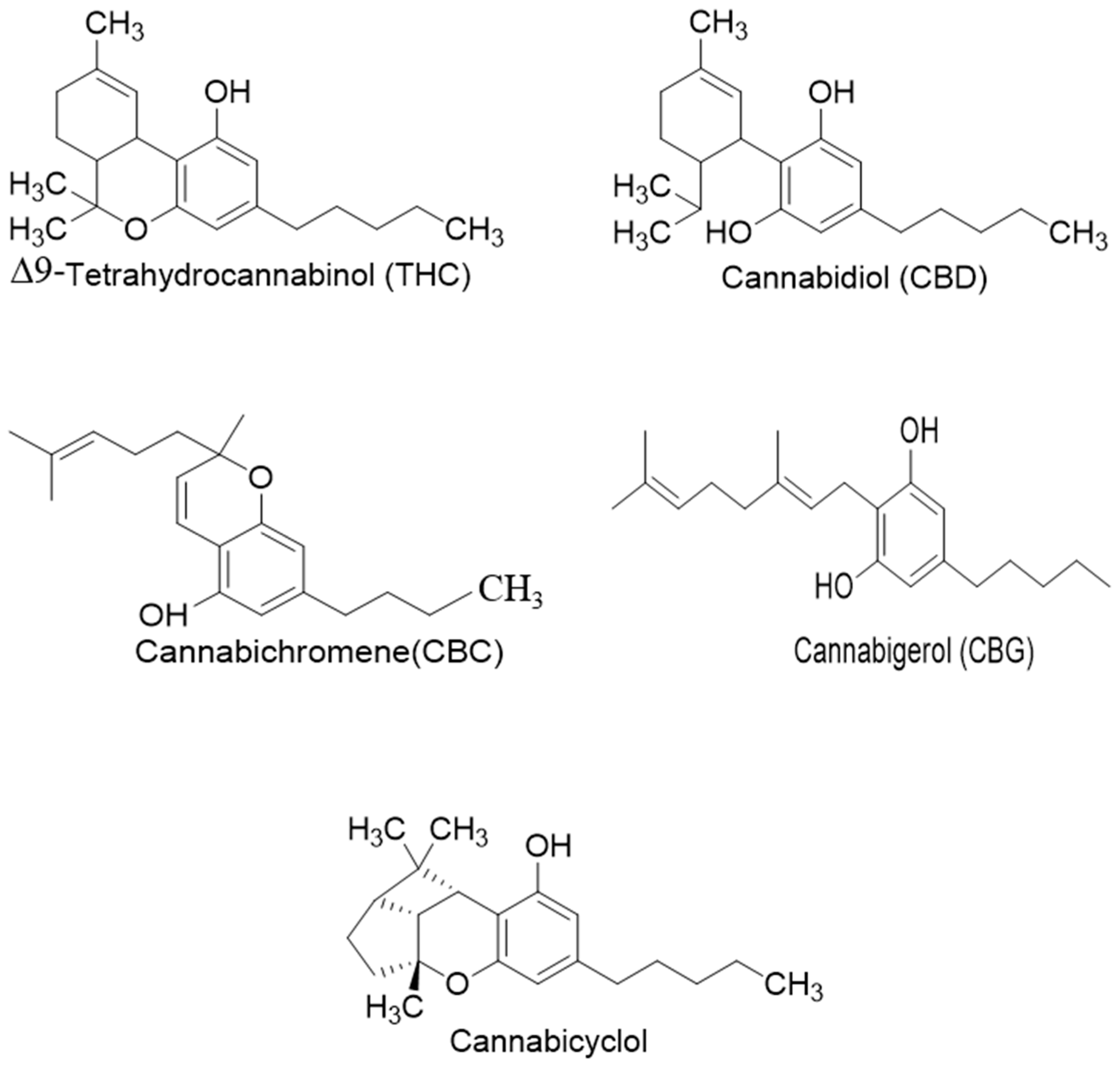 Metabolites 13 00442 g001
