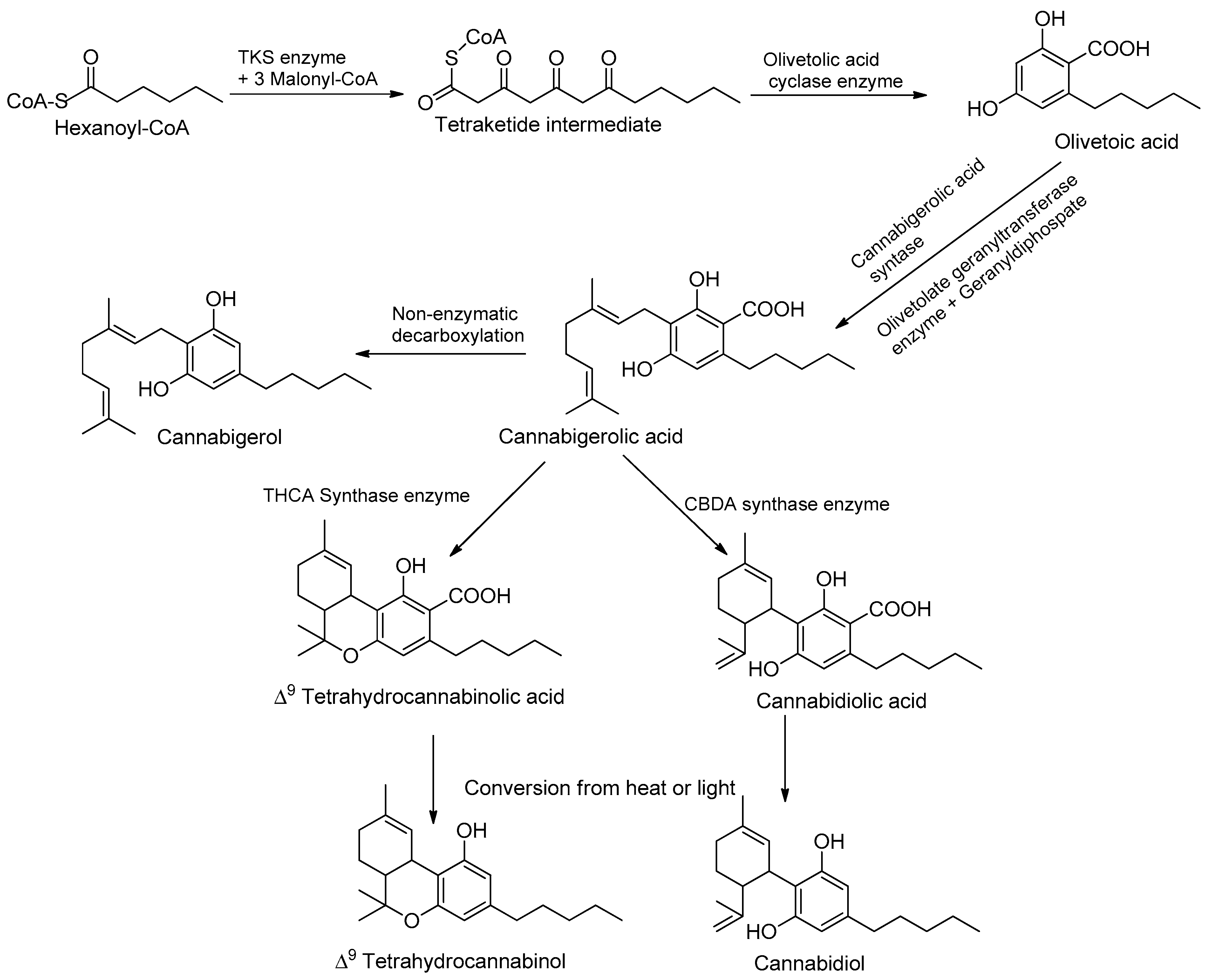 Metabolites 13 00442 g002