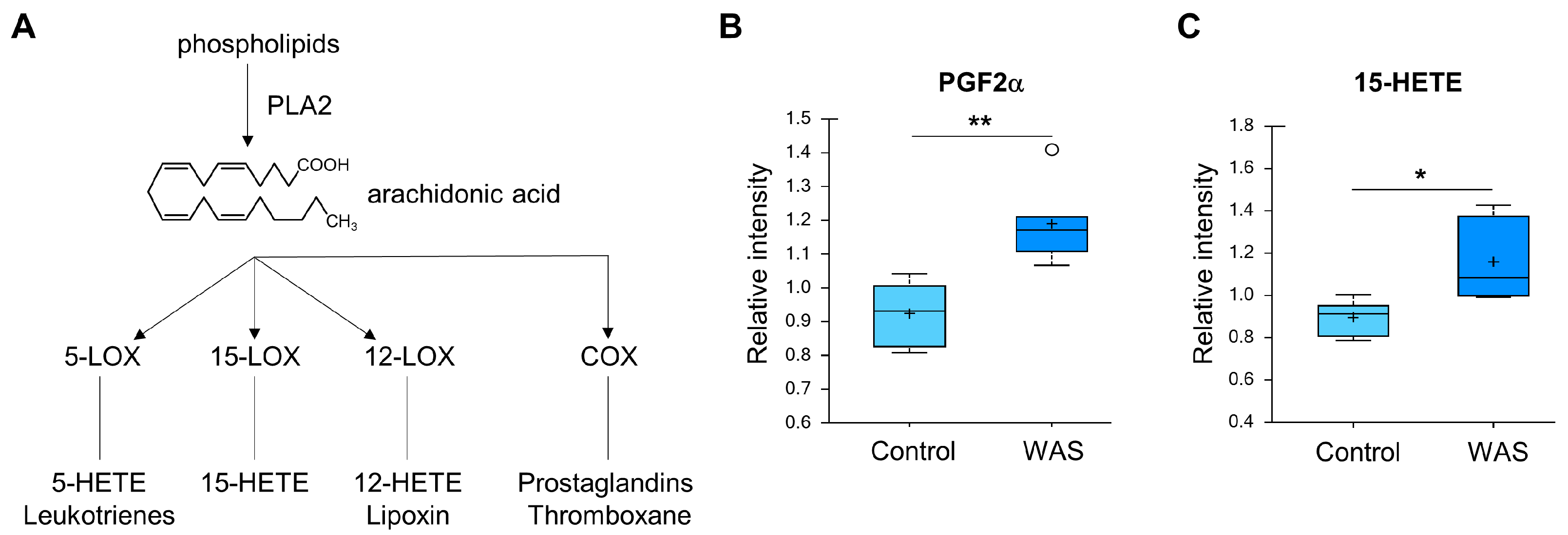 Metabolites 13 00453 g005 Metabolites 13 00453 g005