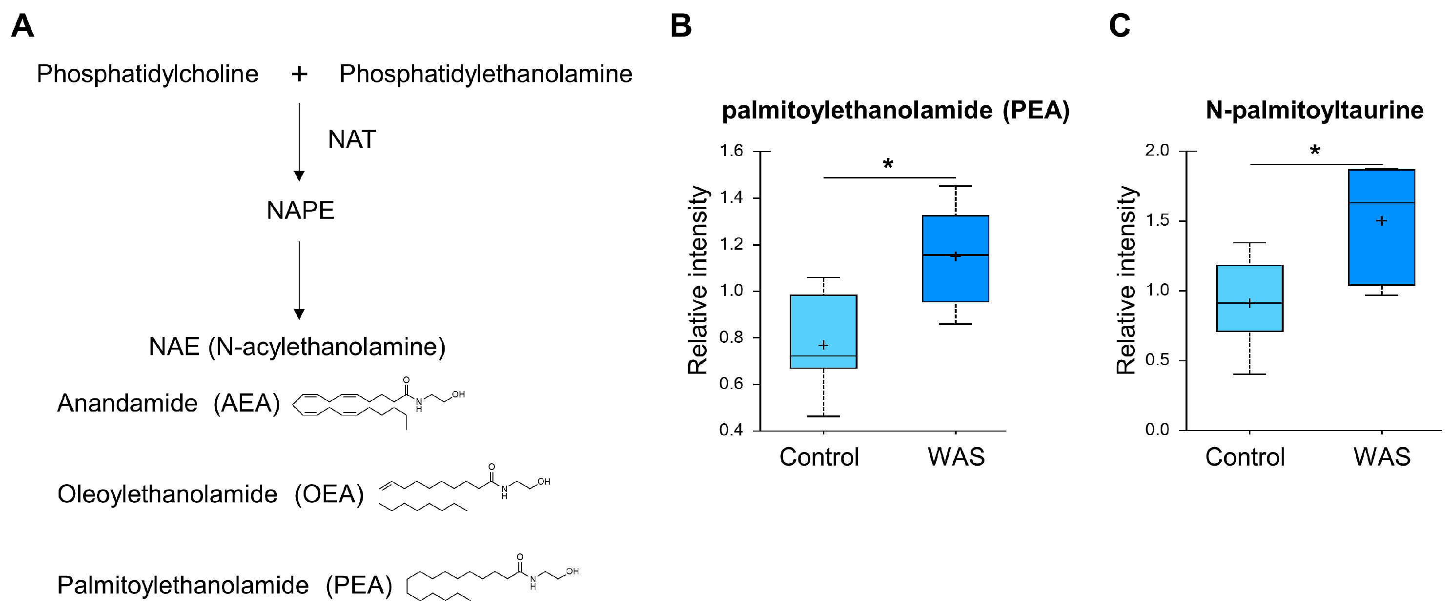 Metabolites 13 00453 g006 Metabolites 13 00453 g006