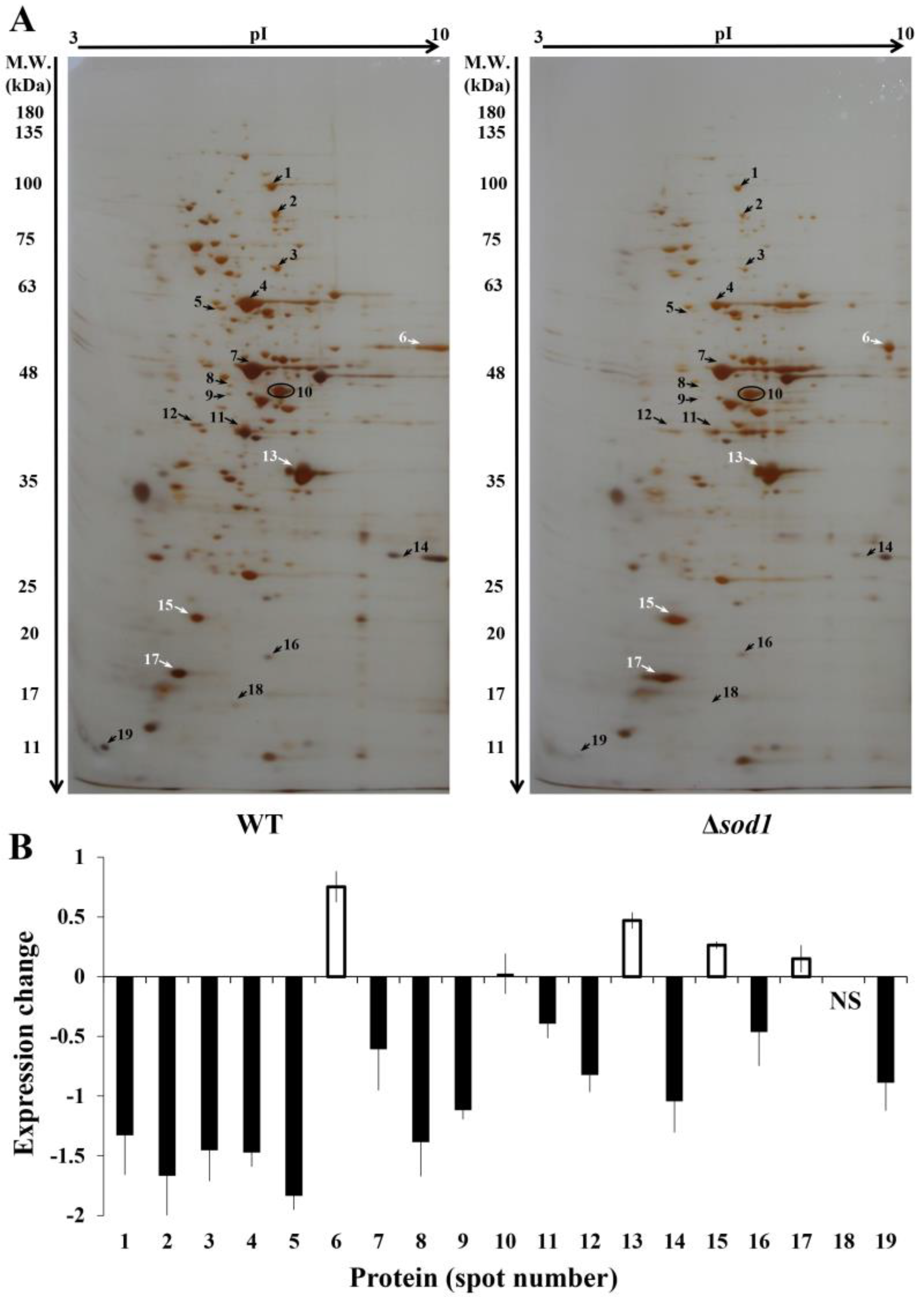 Metabolites 13 00459 g001