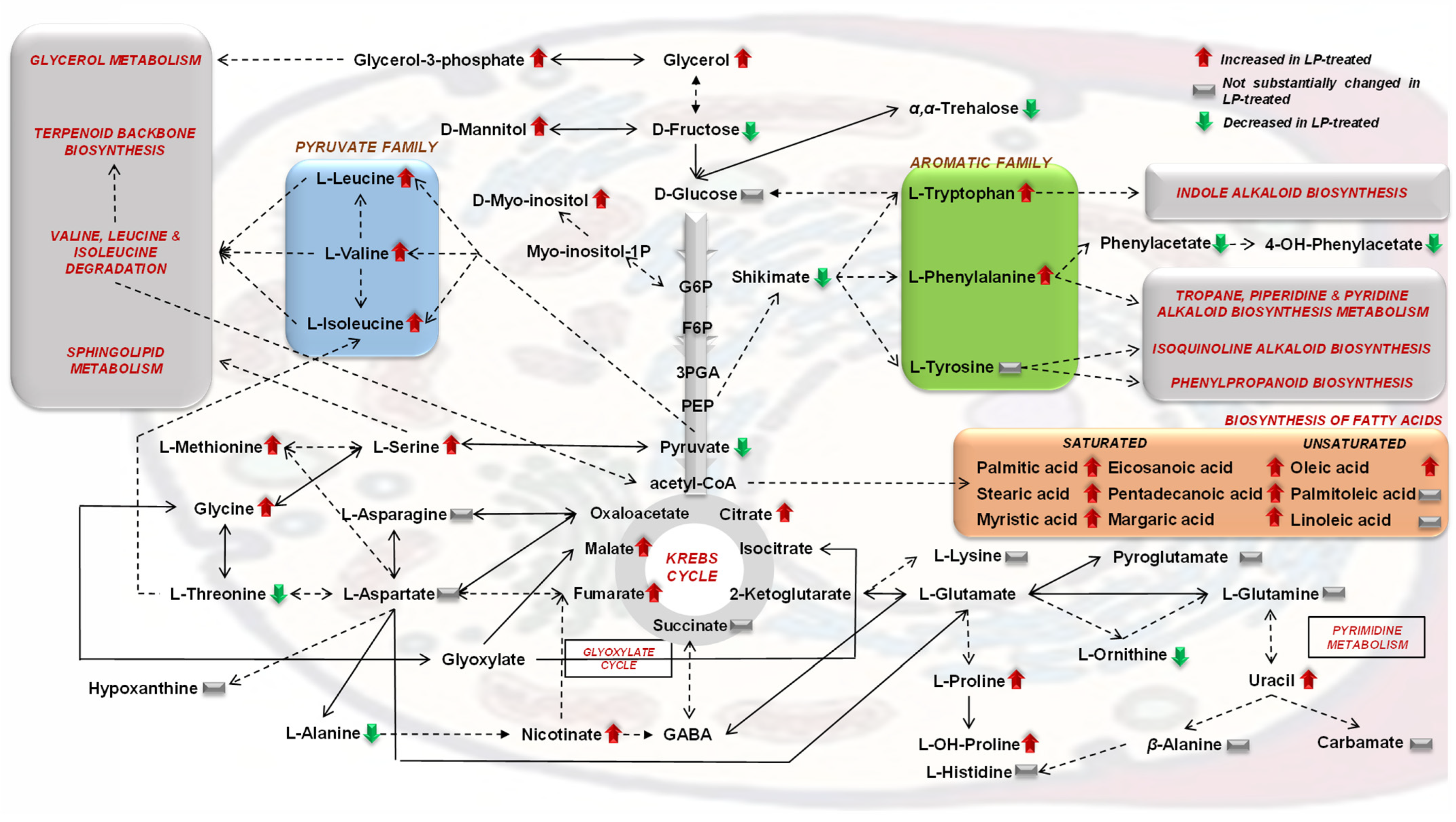 Metabolites 13 00462 g008
