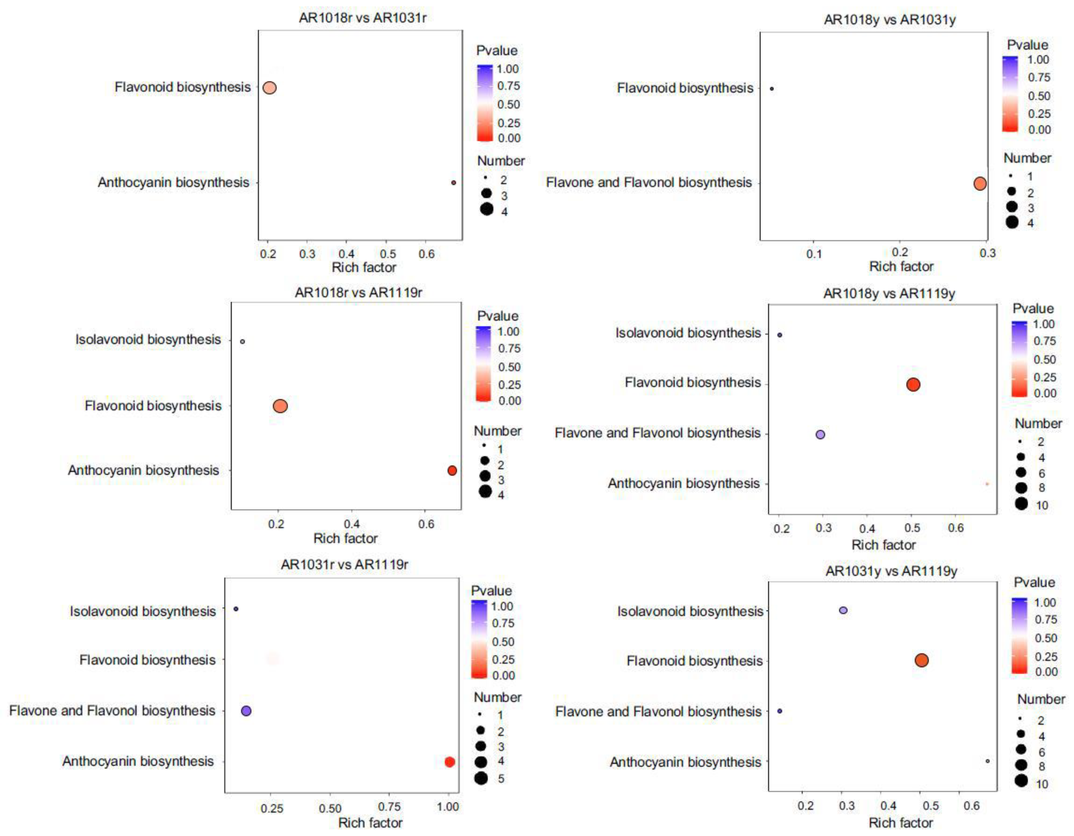 Metabolites 13 00464 g005 Metabolites 13 00464 g005
