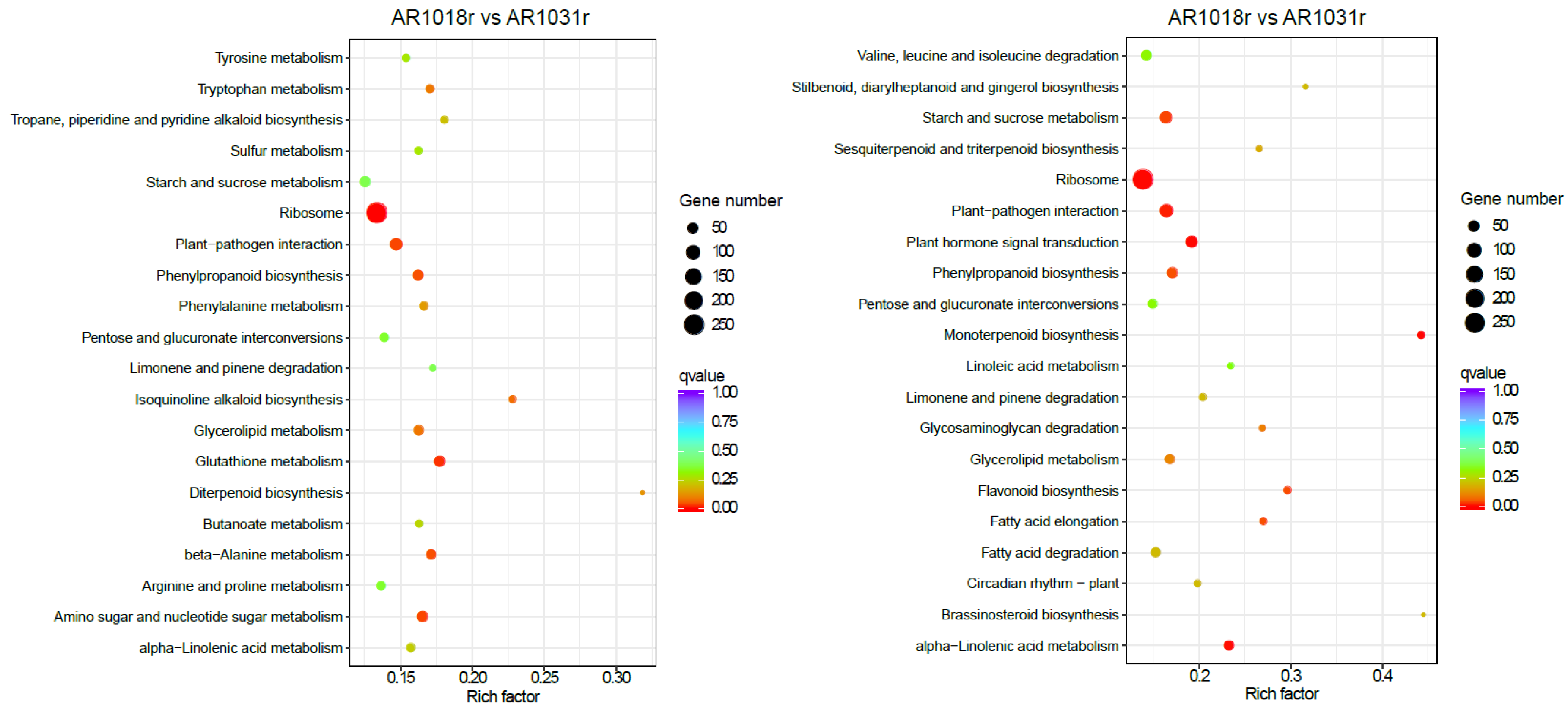 Metabolites 13 00464 g009 Metabolites 13 00464 g009