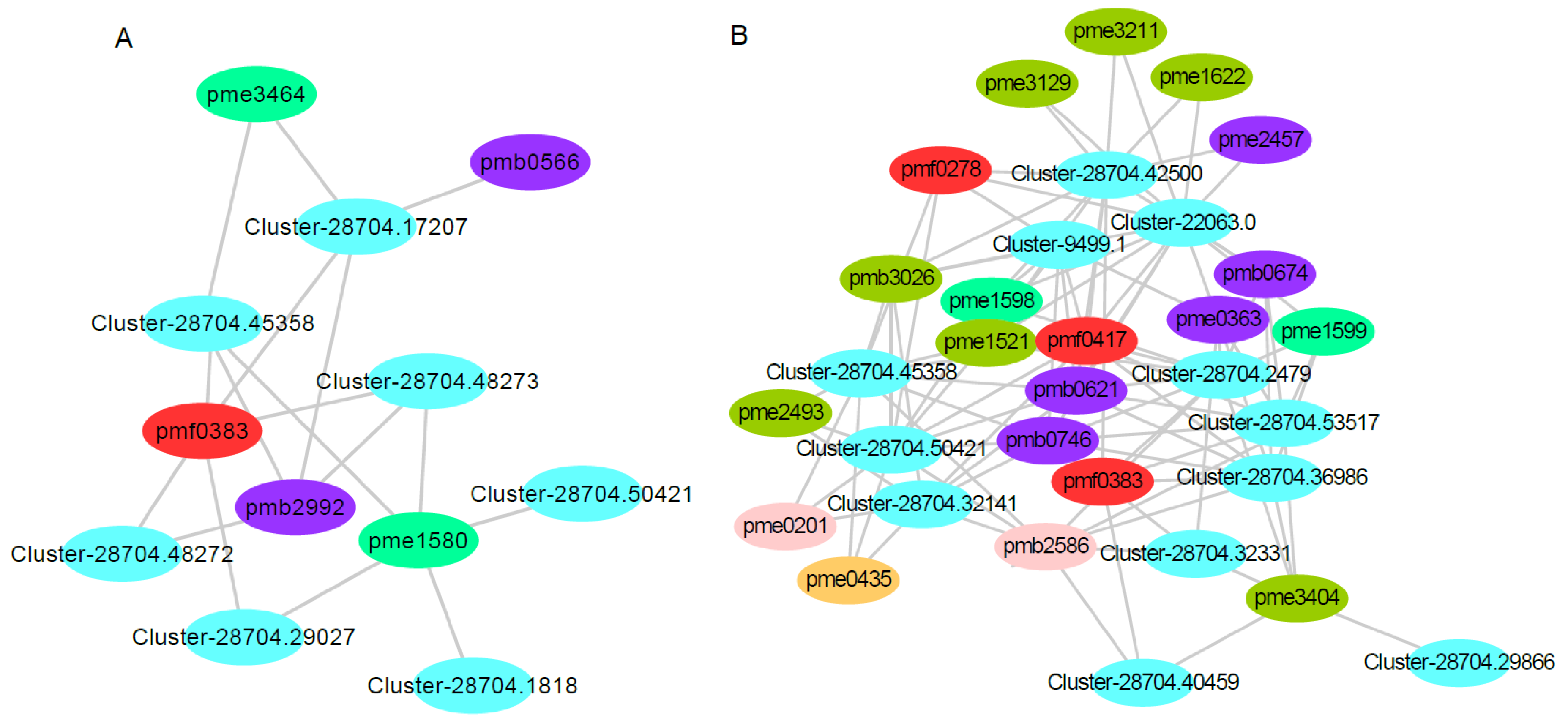 Metabolites 13 00464 g010 Metabolites 13 00464 g010