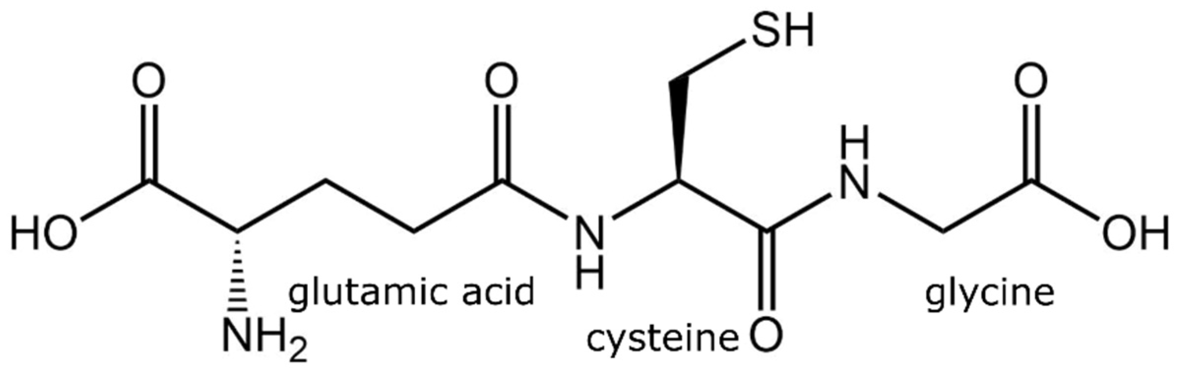 Metabolites 13 00465 g003