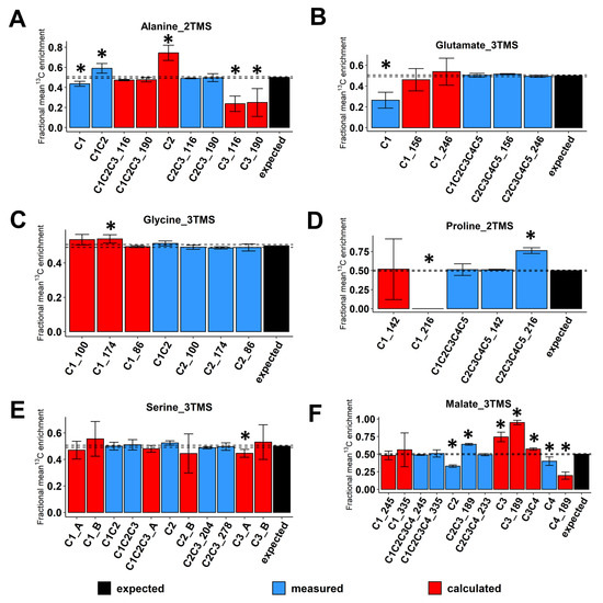 Evaluation of GC/MS-Based 13C-Positional Approaches for TMS