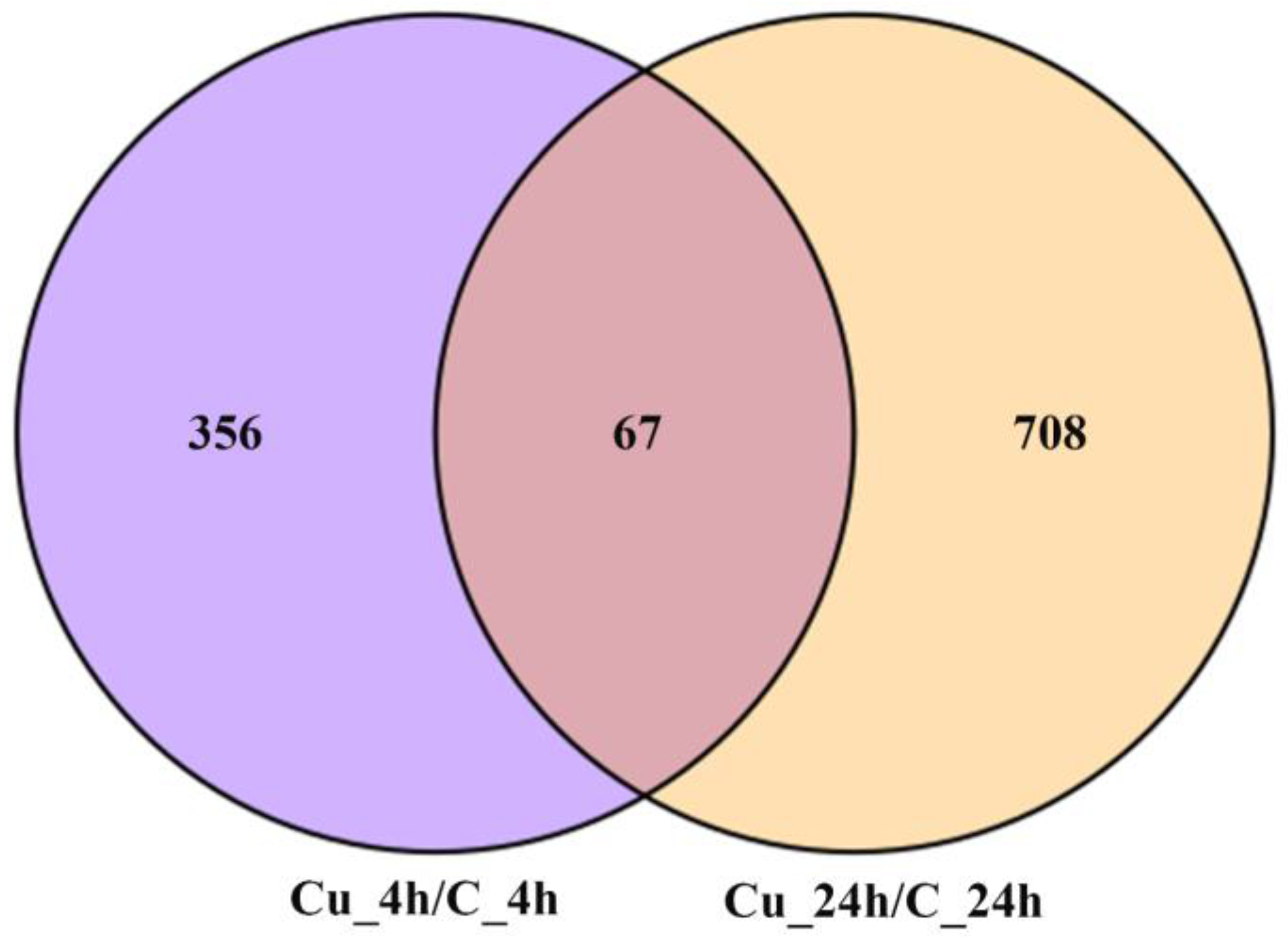 Metabolites 13 00471 g002