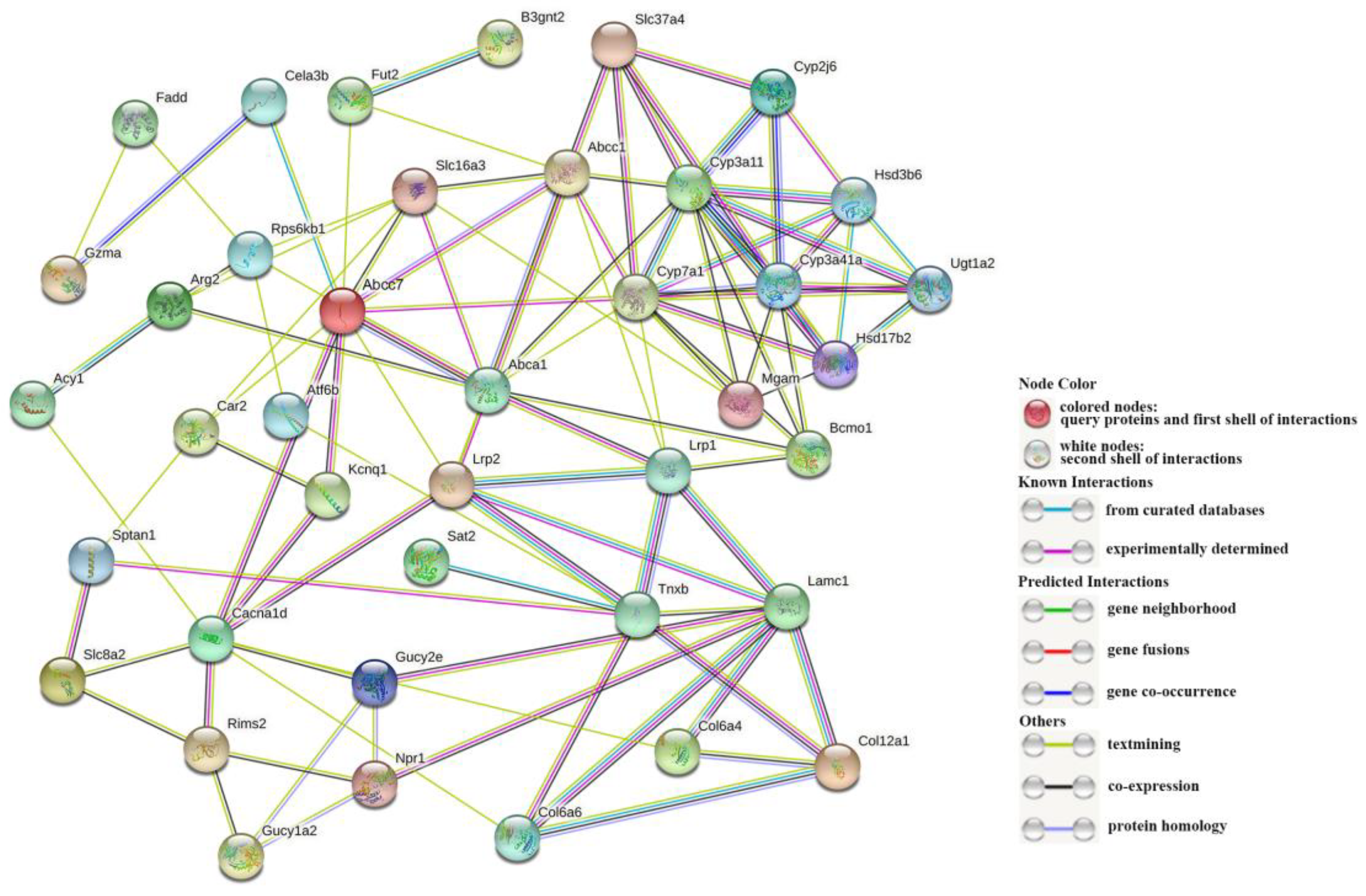 Metabolites 13 00471 g006