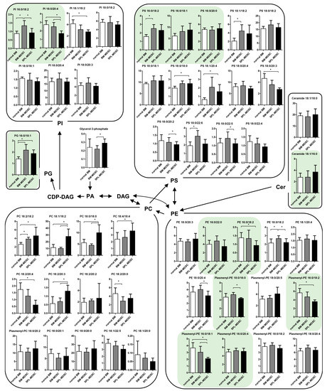 Discovery of Myeloid-Derived Suppressor Cell-Specific