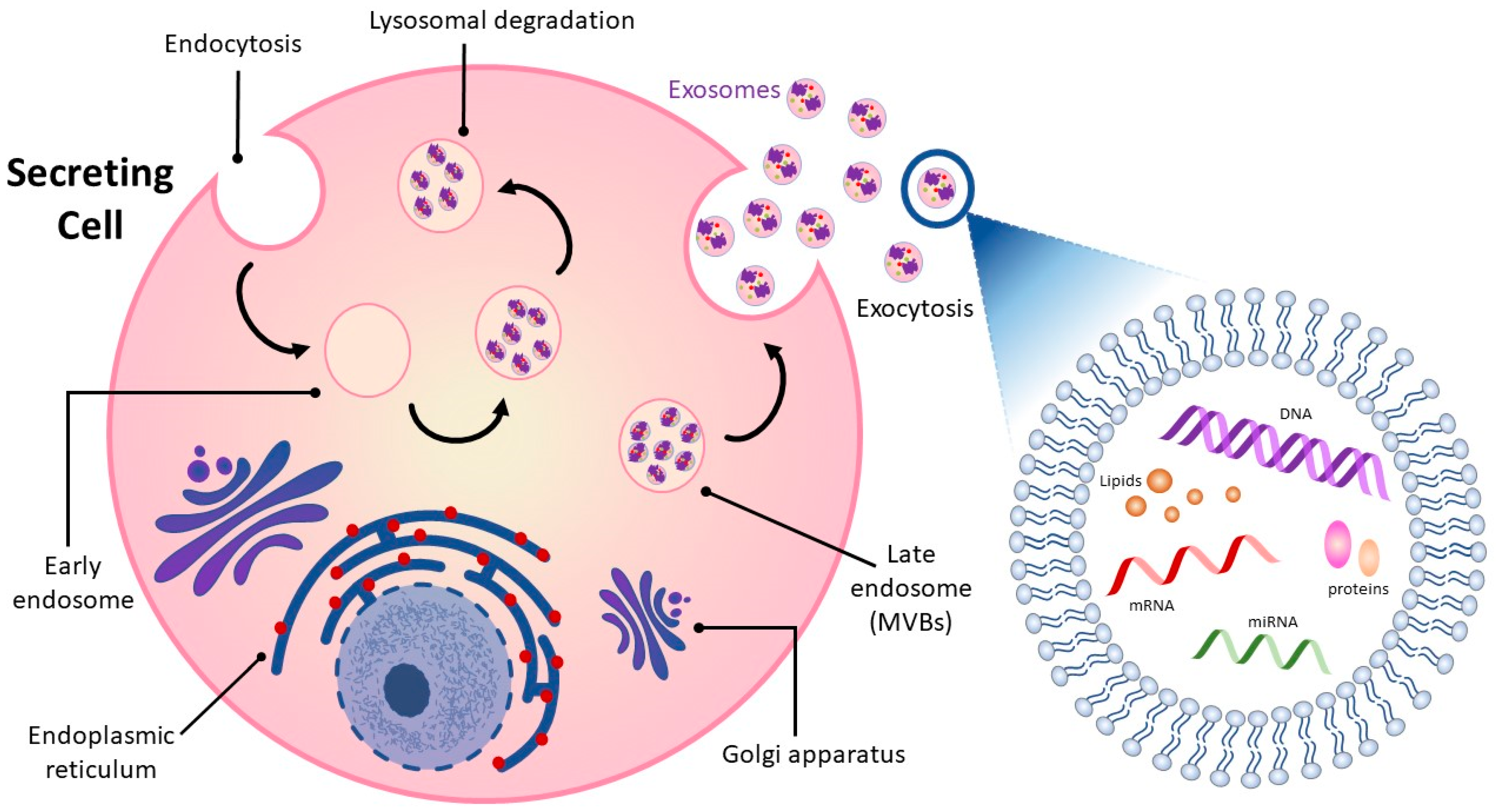 Metabolites 13 00479 g001