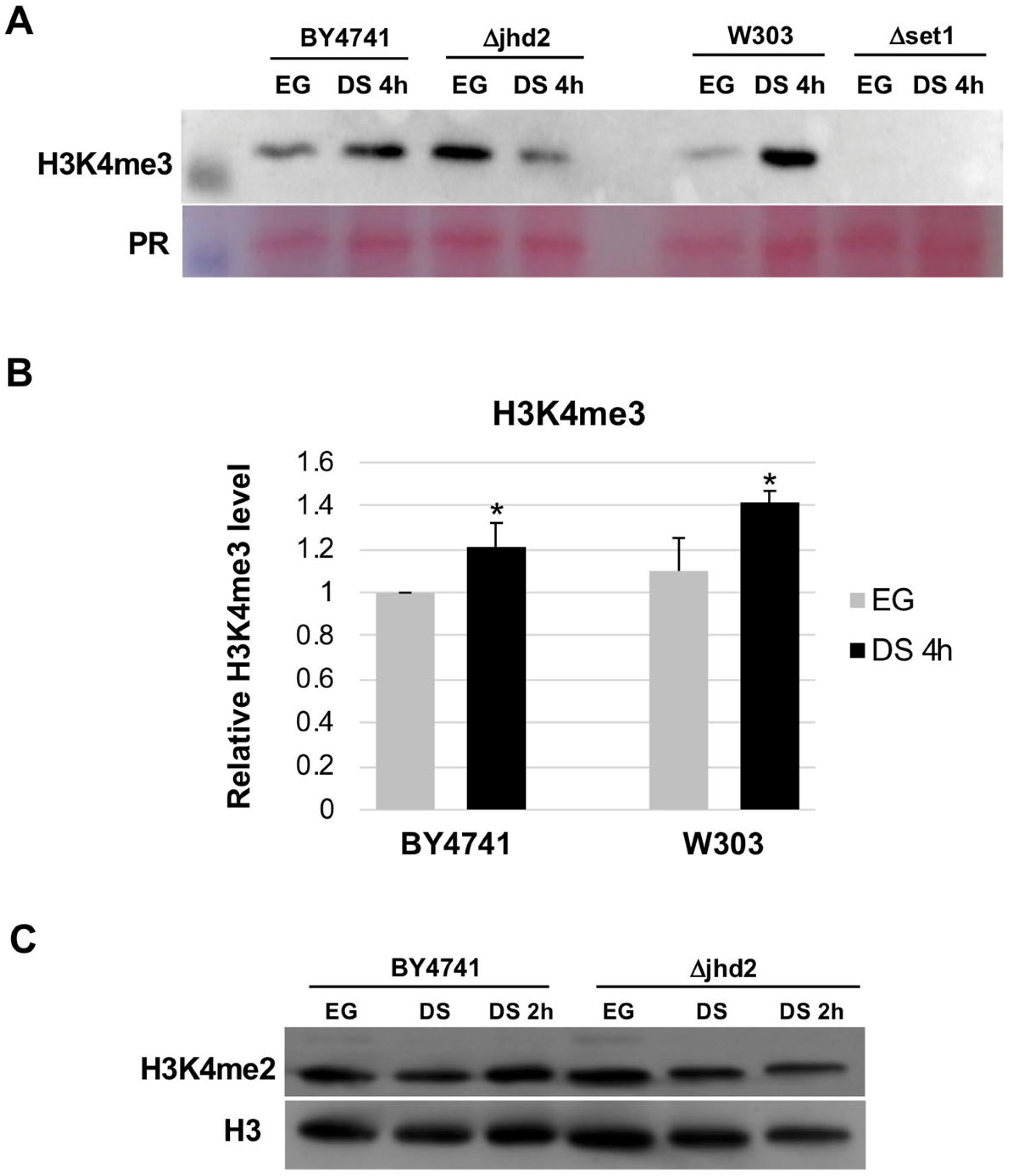 Metabolites 13 00507 g001
