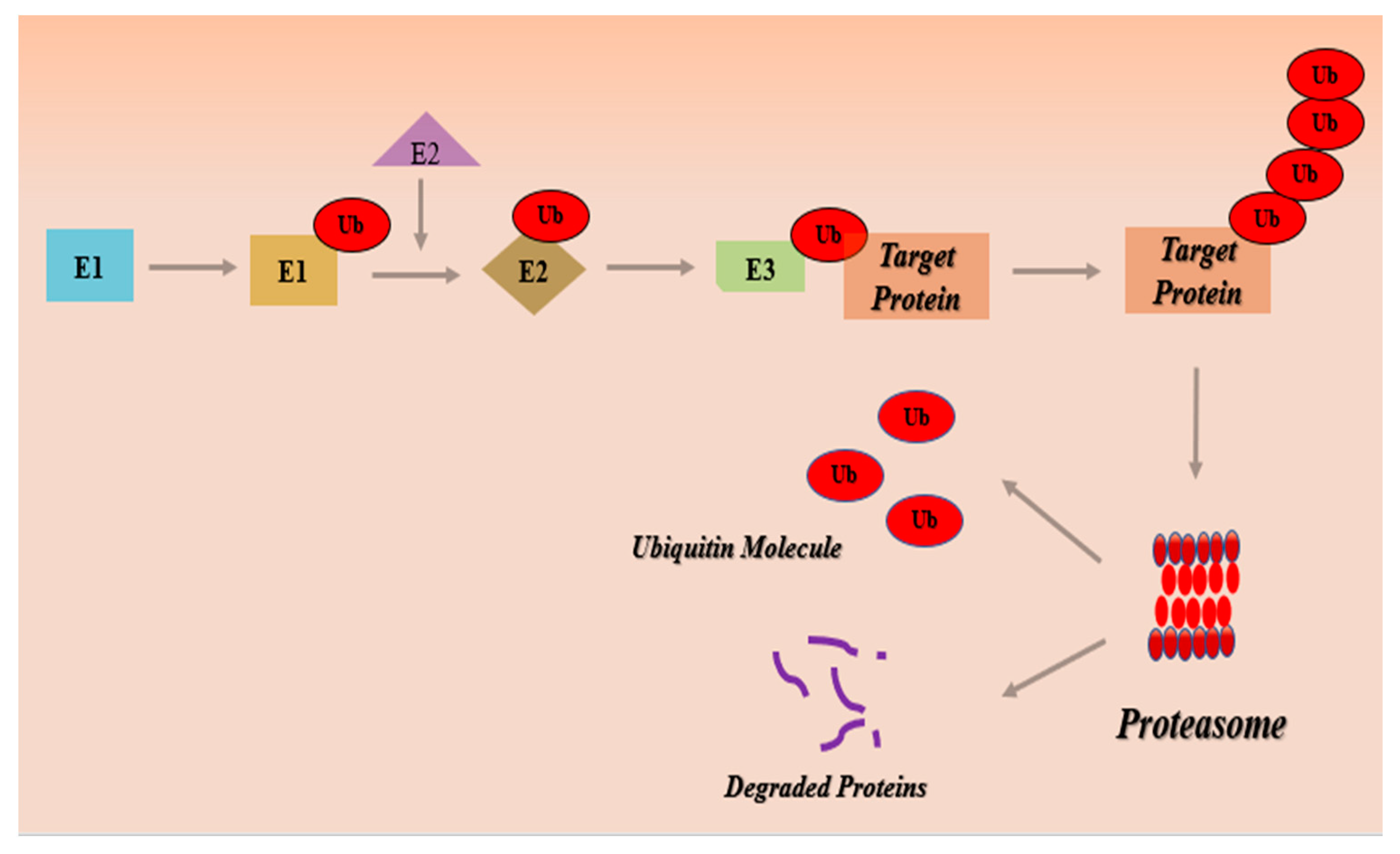 Metabolites 13 00509 g001