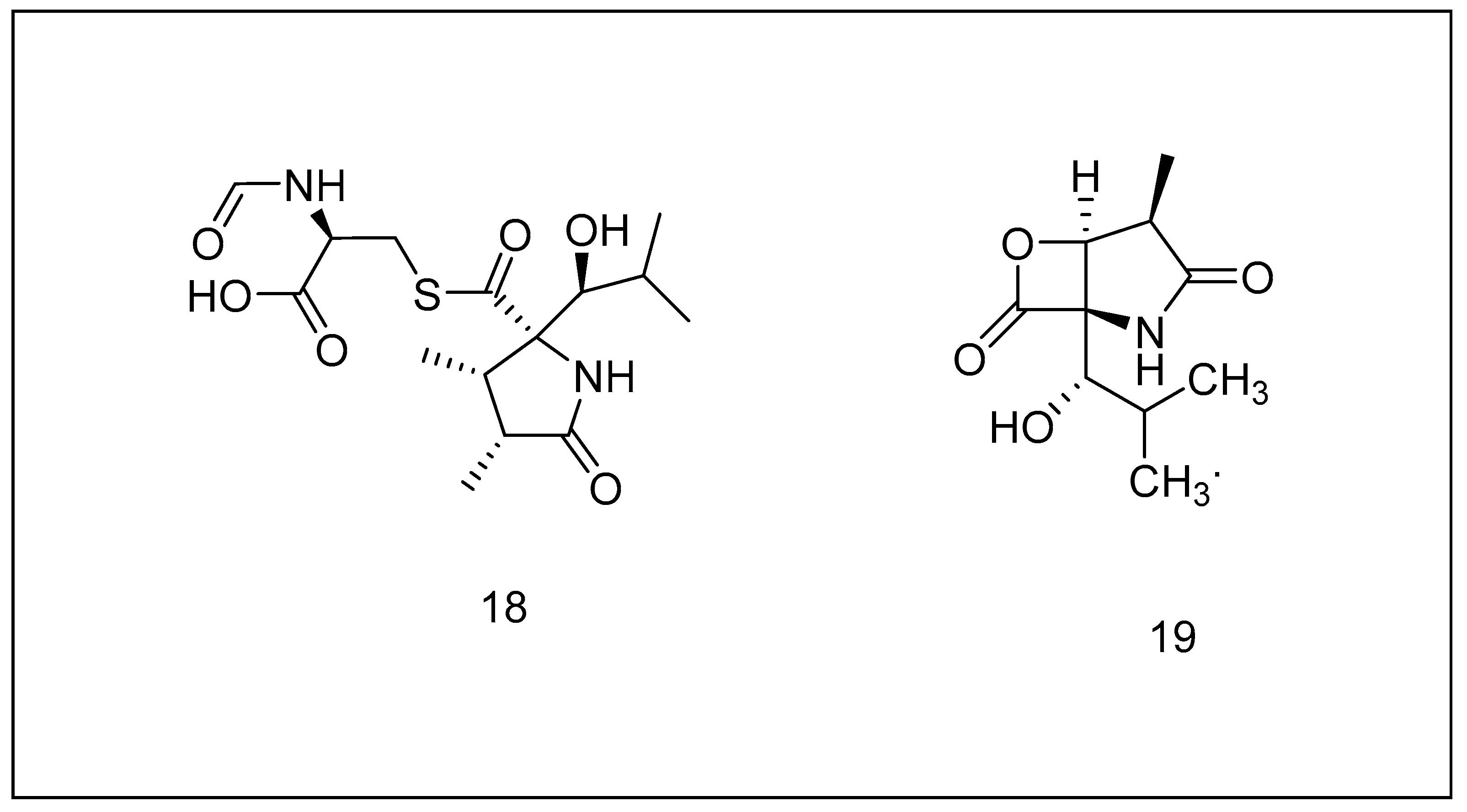 Metabolites 13 00509 g007
