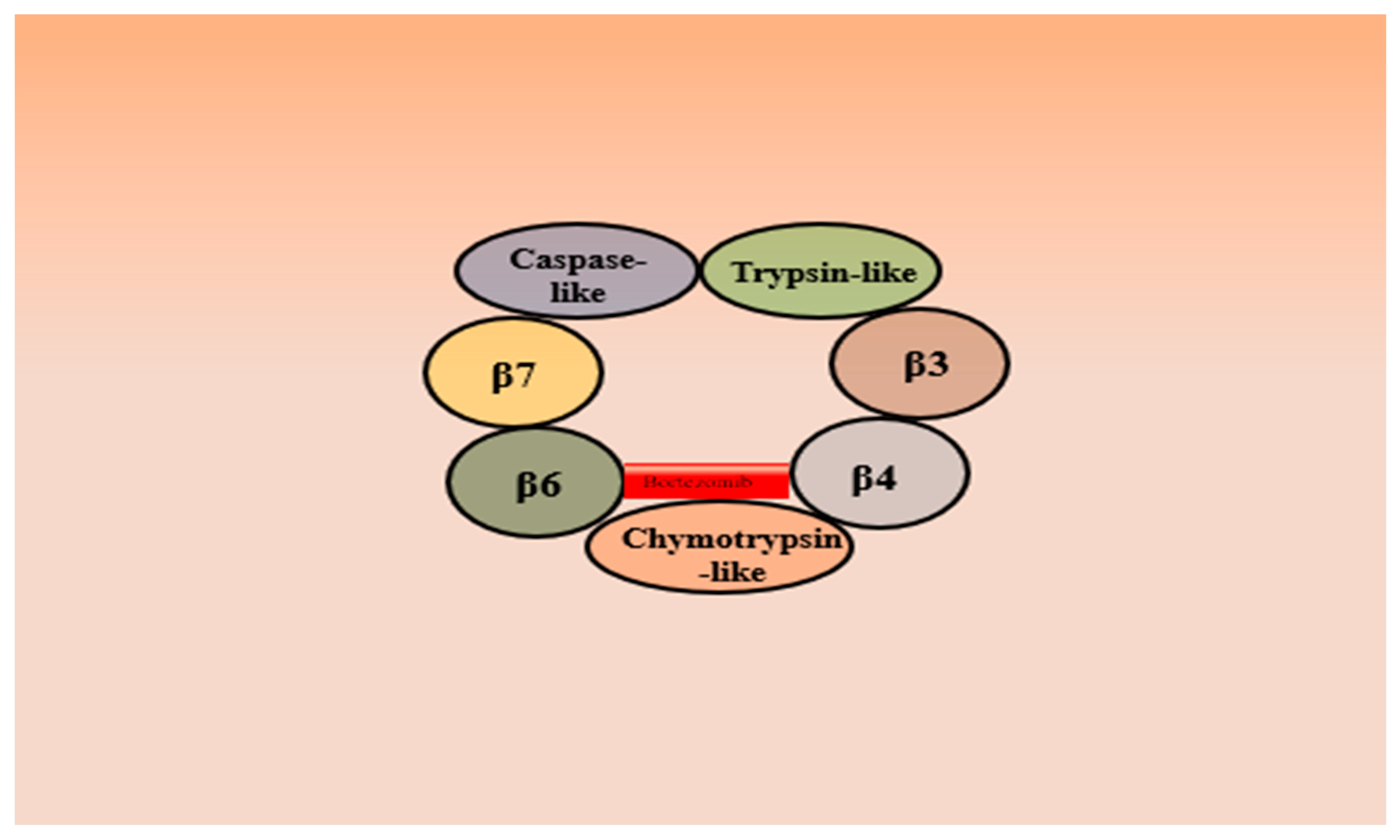 Metabolites 13 00509 g012