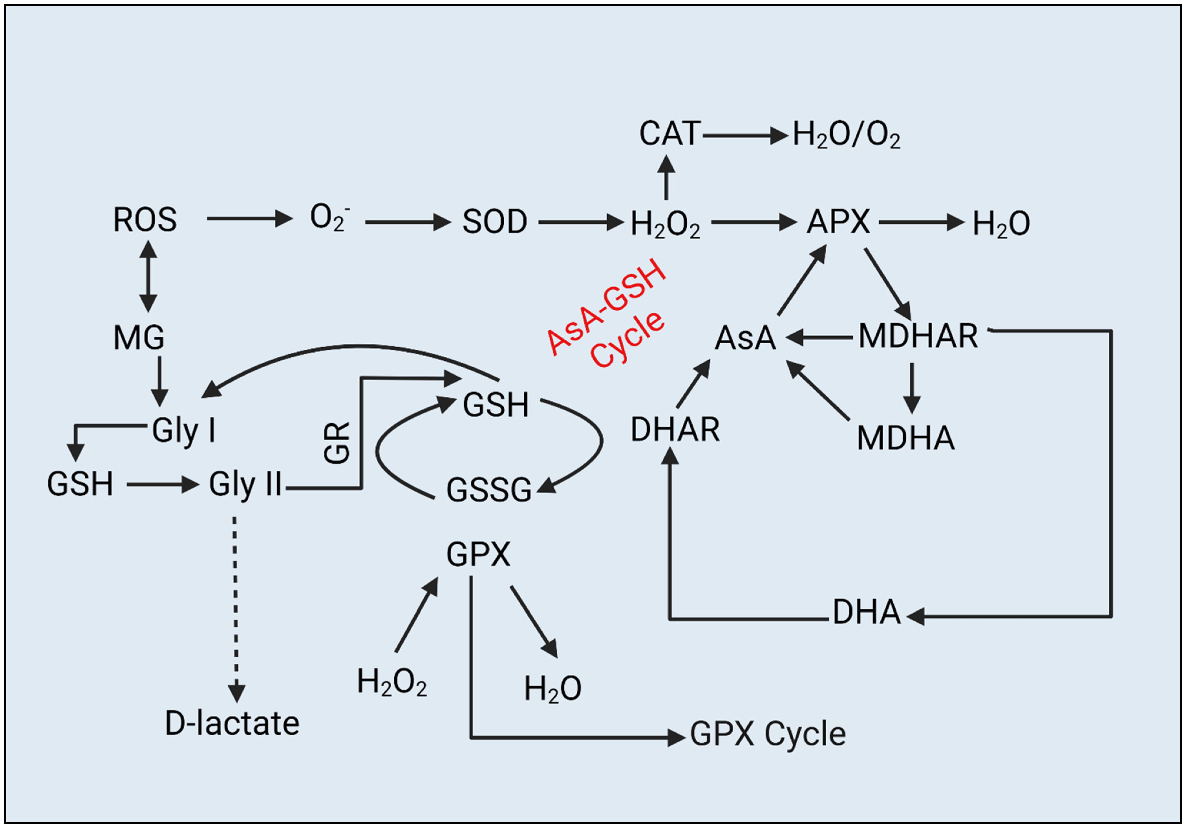 Metabolites 13 00511 g007 Metabolites 13 00511 g007