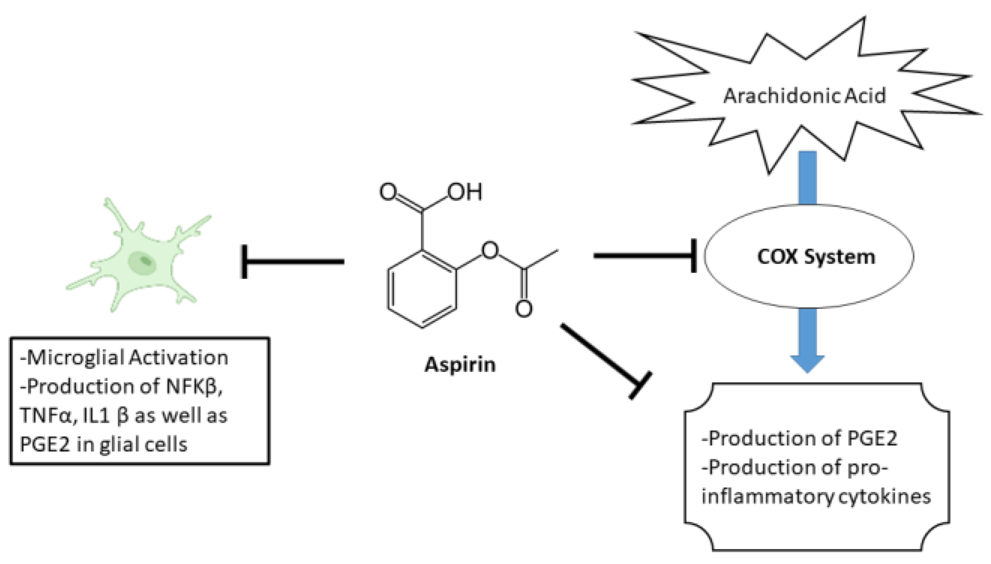 Metabolites 13 00515 g001