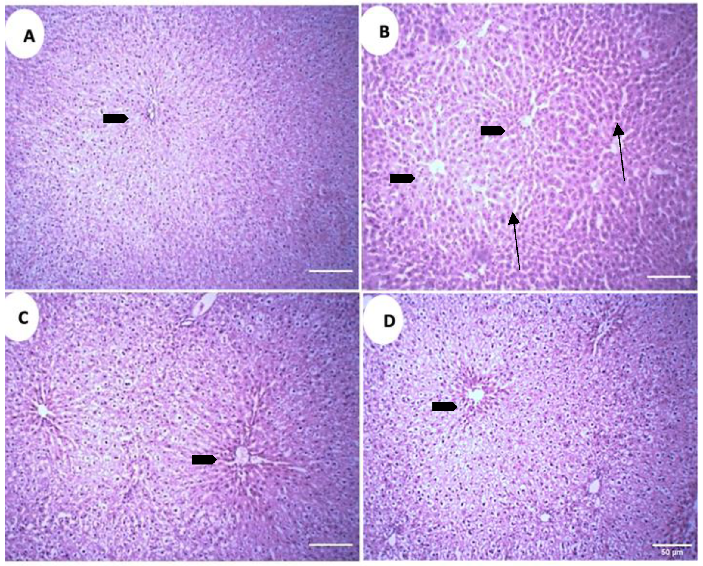 Metabolites 13 00516 g009 Metabolites 13 00516 g009