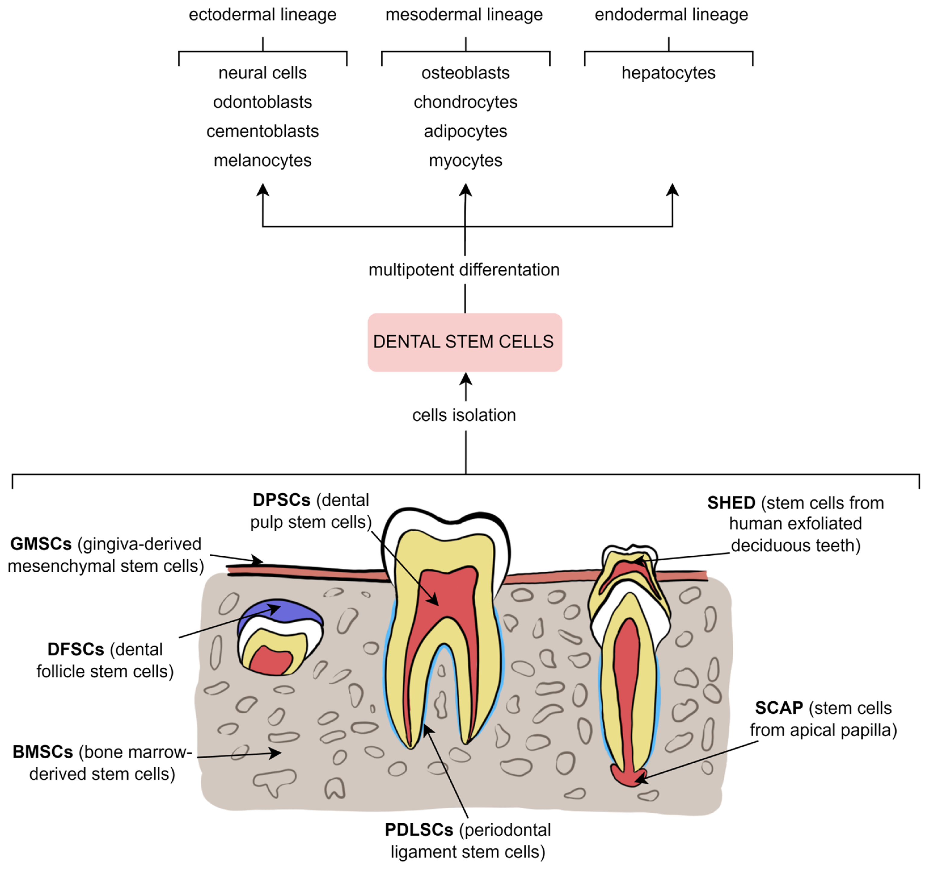 Metabolites 13 00520 g003 Metabolites 13 00520 g003