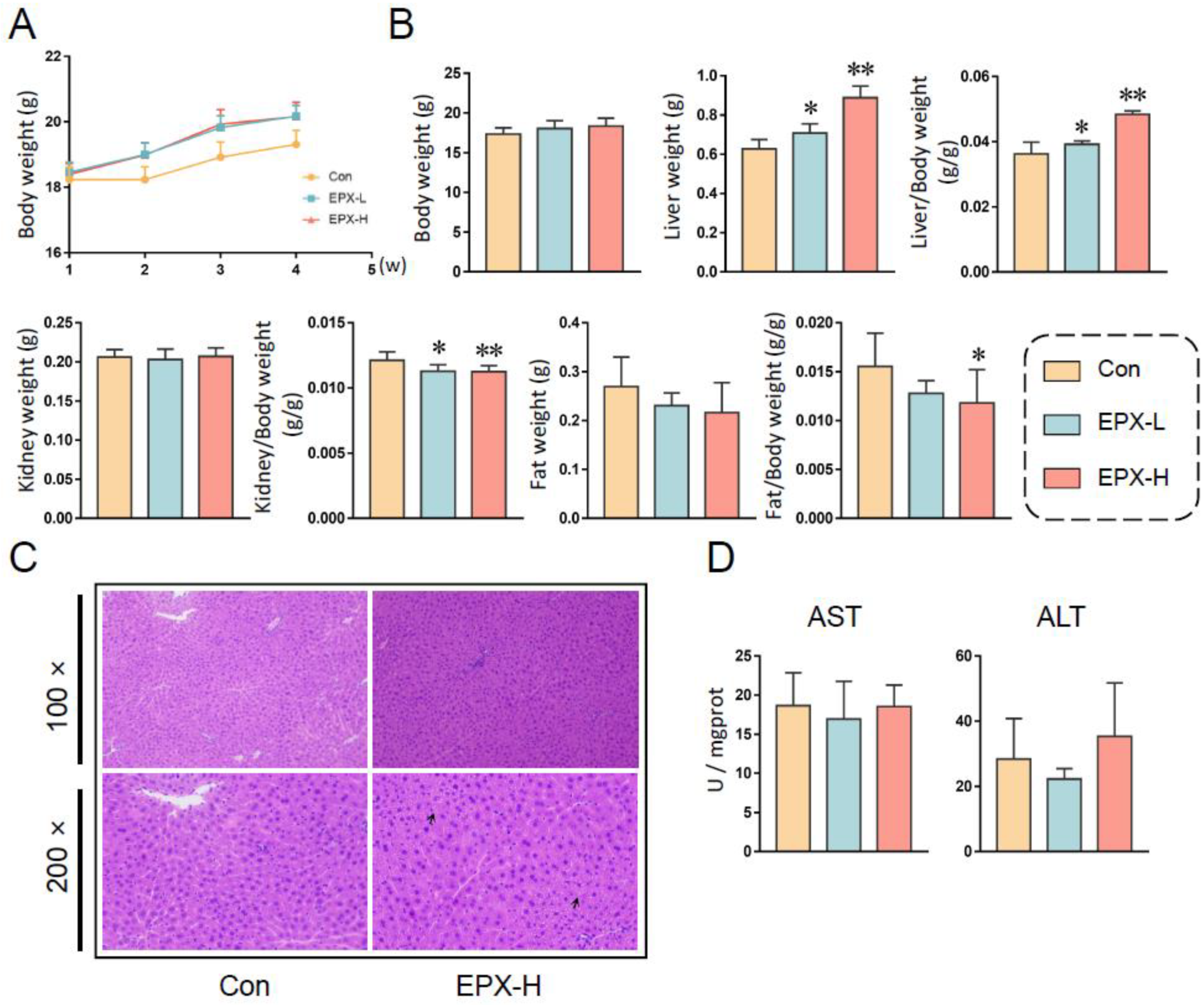 Metabolites 13 00522 g001 Metabolites 13 00522 g001