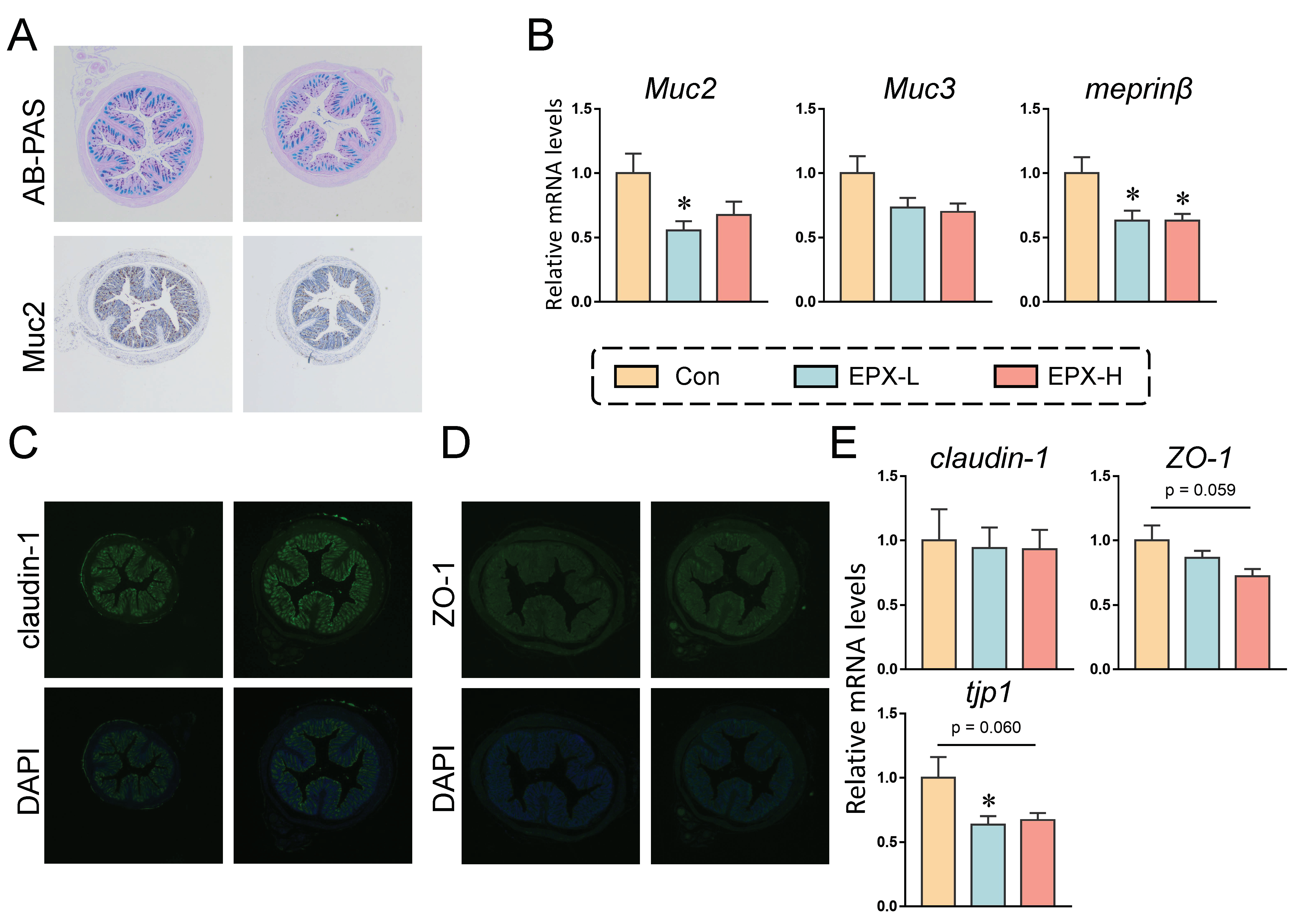 Metabolites 13 00522 g002 Metabolites 13 00522 g002