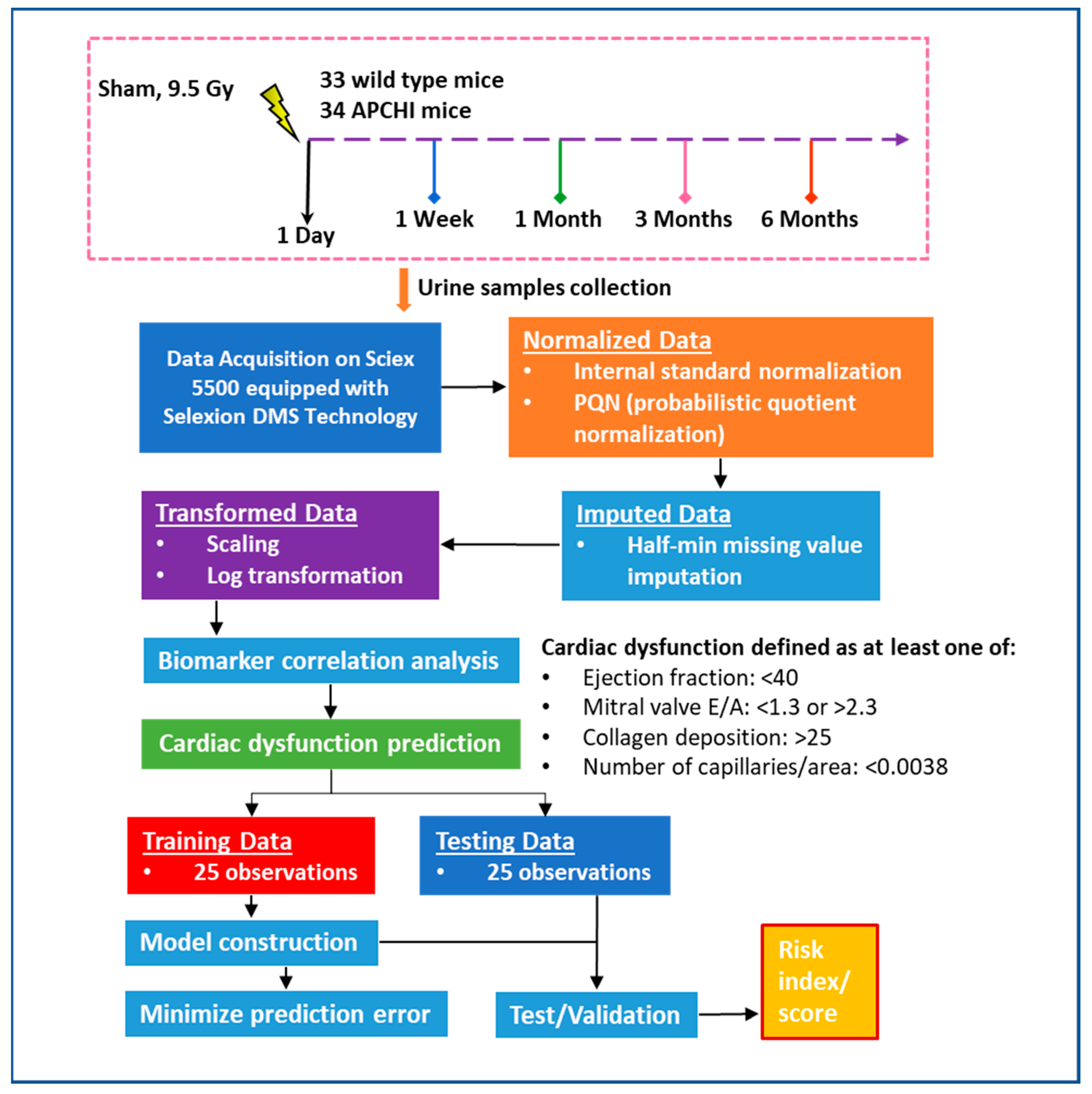 Metabolites 13 00525 g001