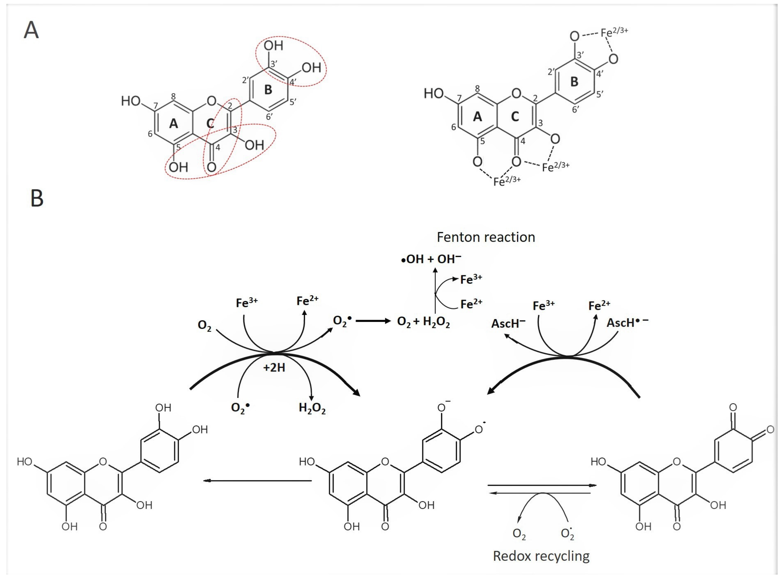 Metabolites 13 00526 g002 Metabolites 13 00526 g002