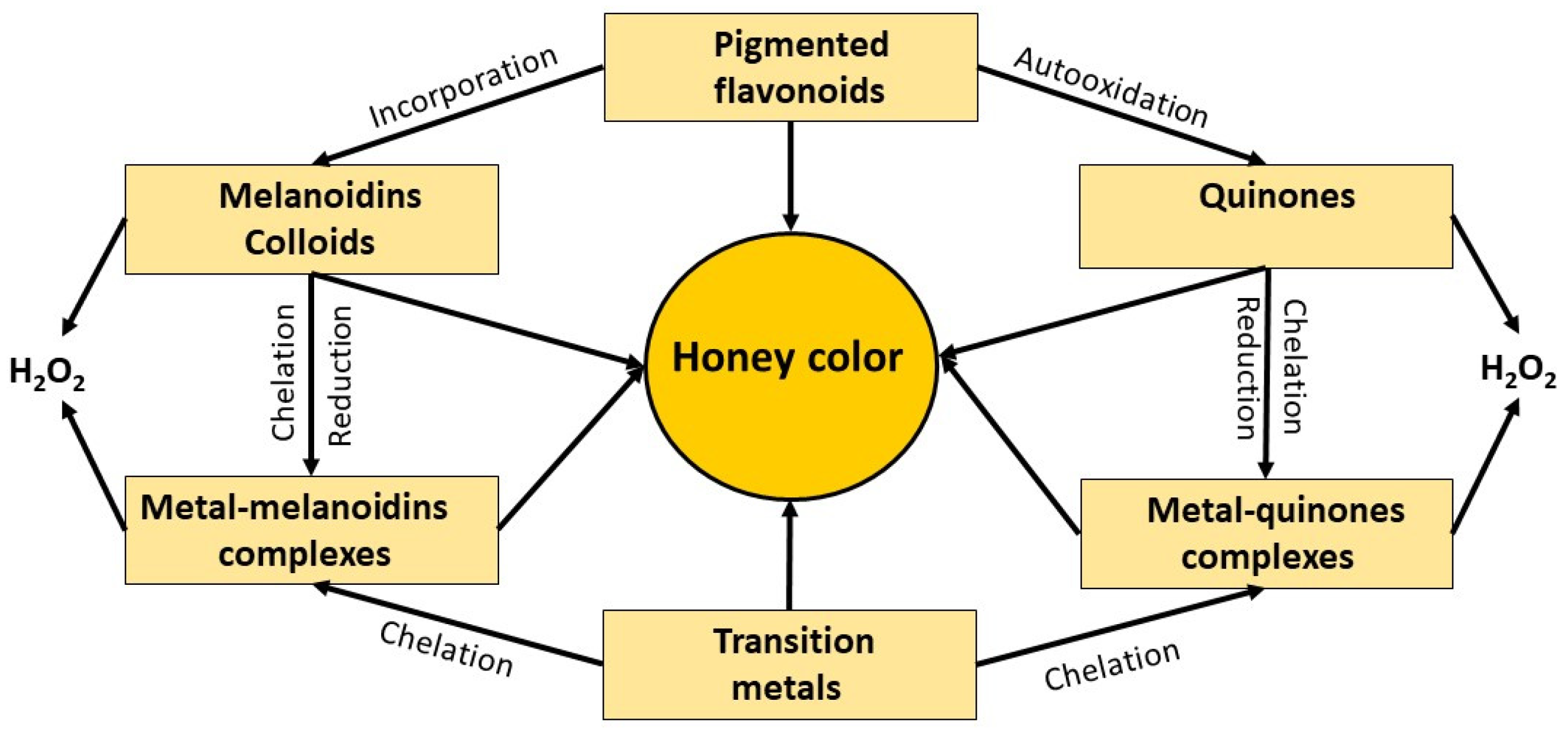 Metabolites 13 00526 g005 Metabolites 13 00526 g005