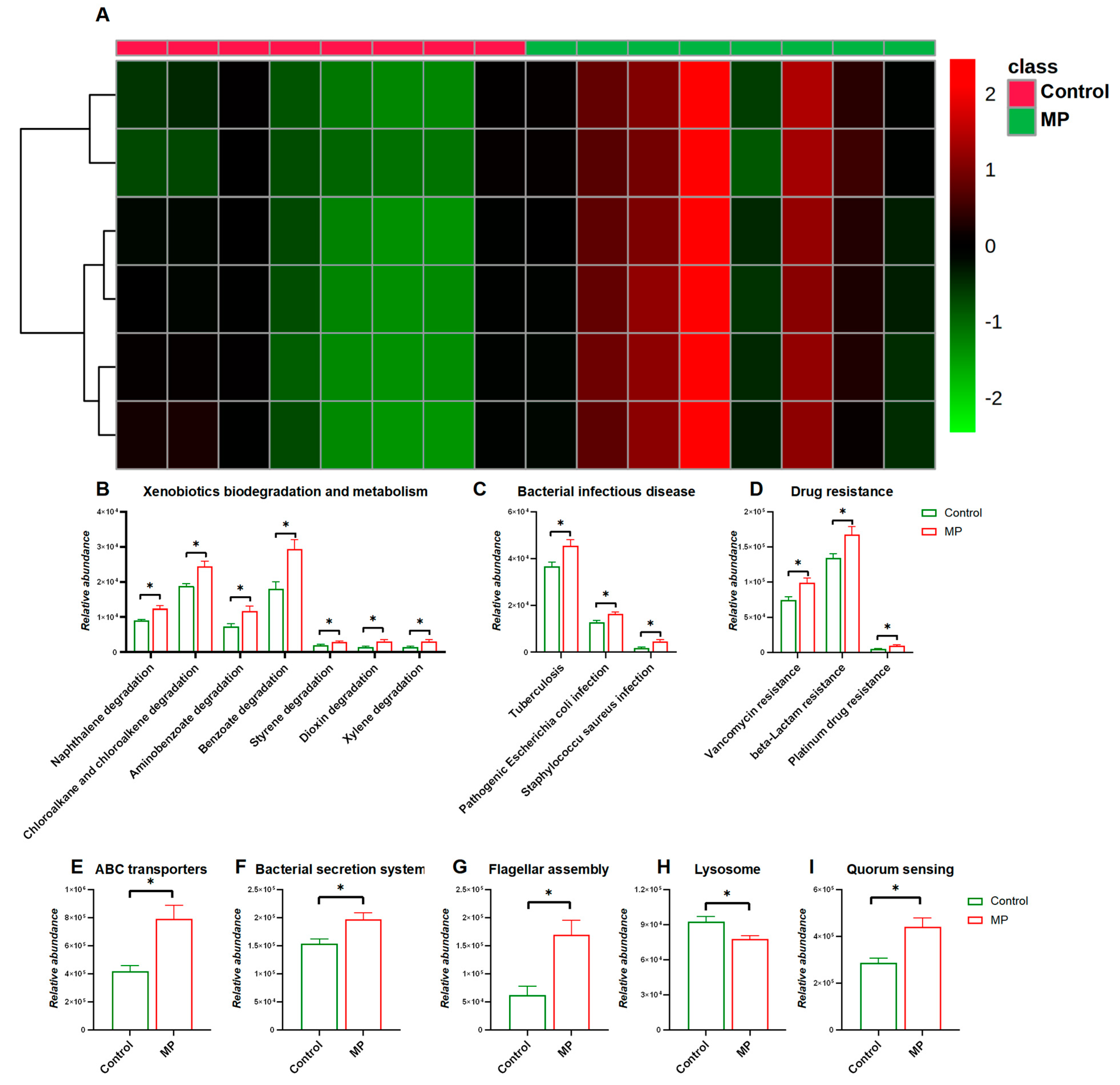 Metabolites 13 00530 g003 Metabolites 13 00530 g003
