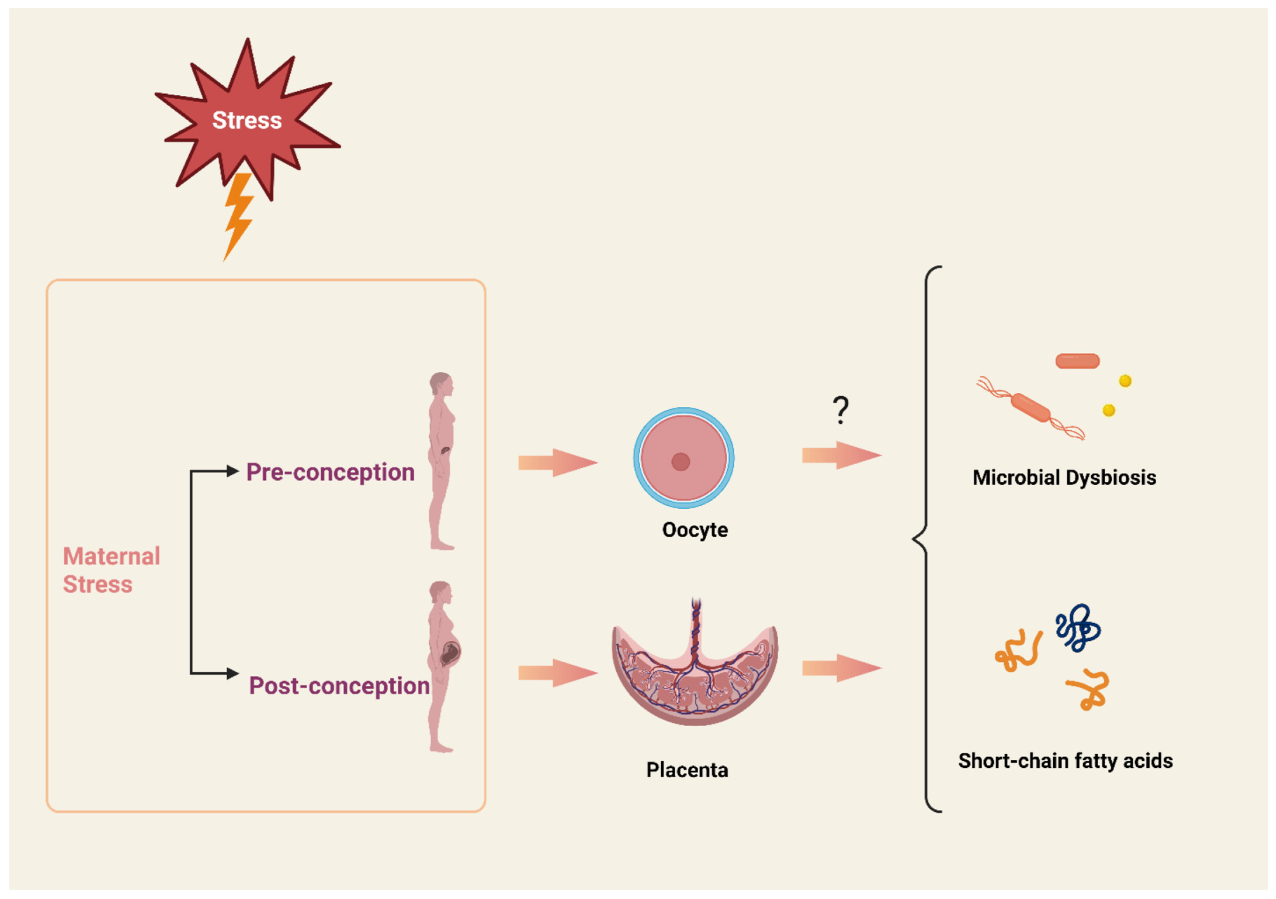 Metabolites 13 00535 g001