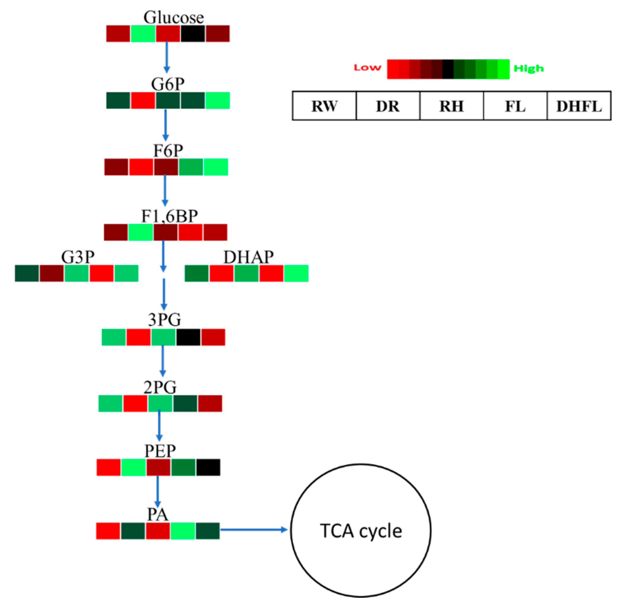 Metabolites 13 00539 g003