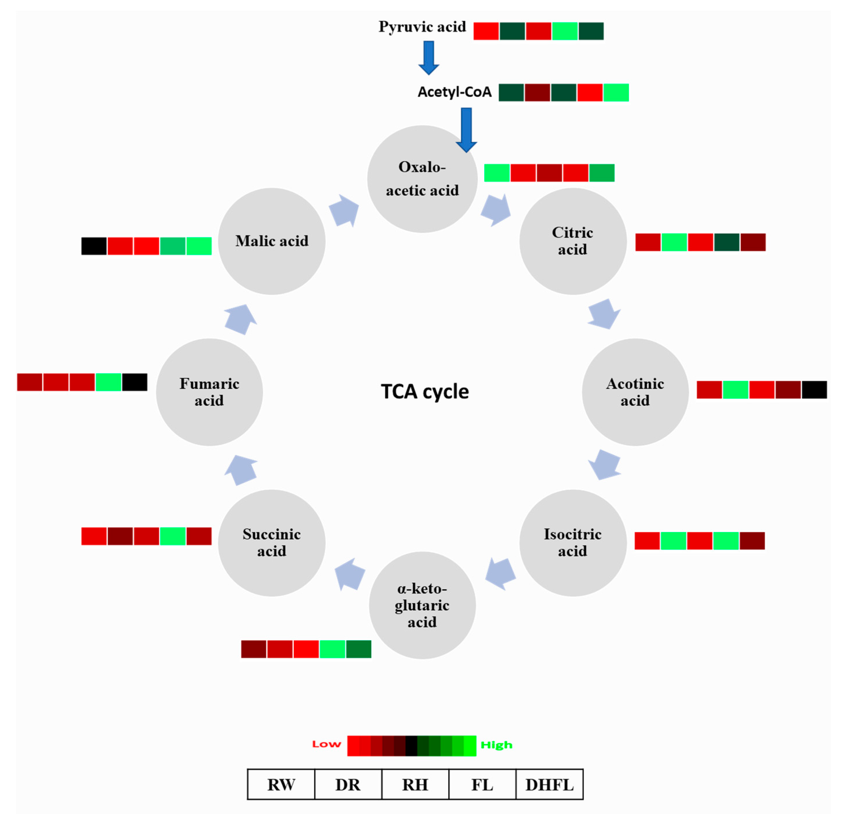 Metabolites 13 00539 g005