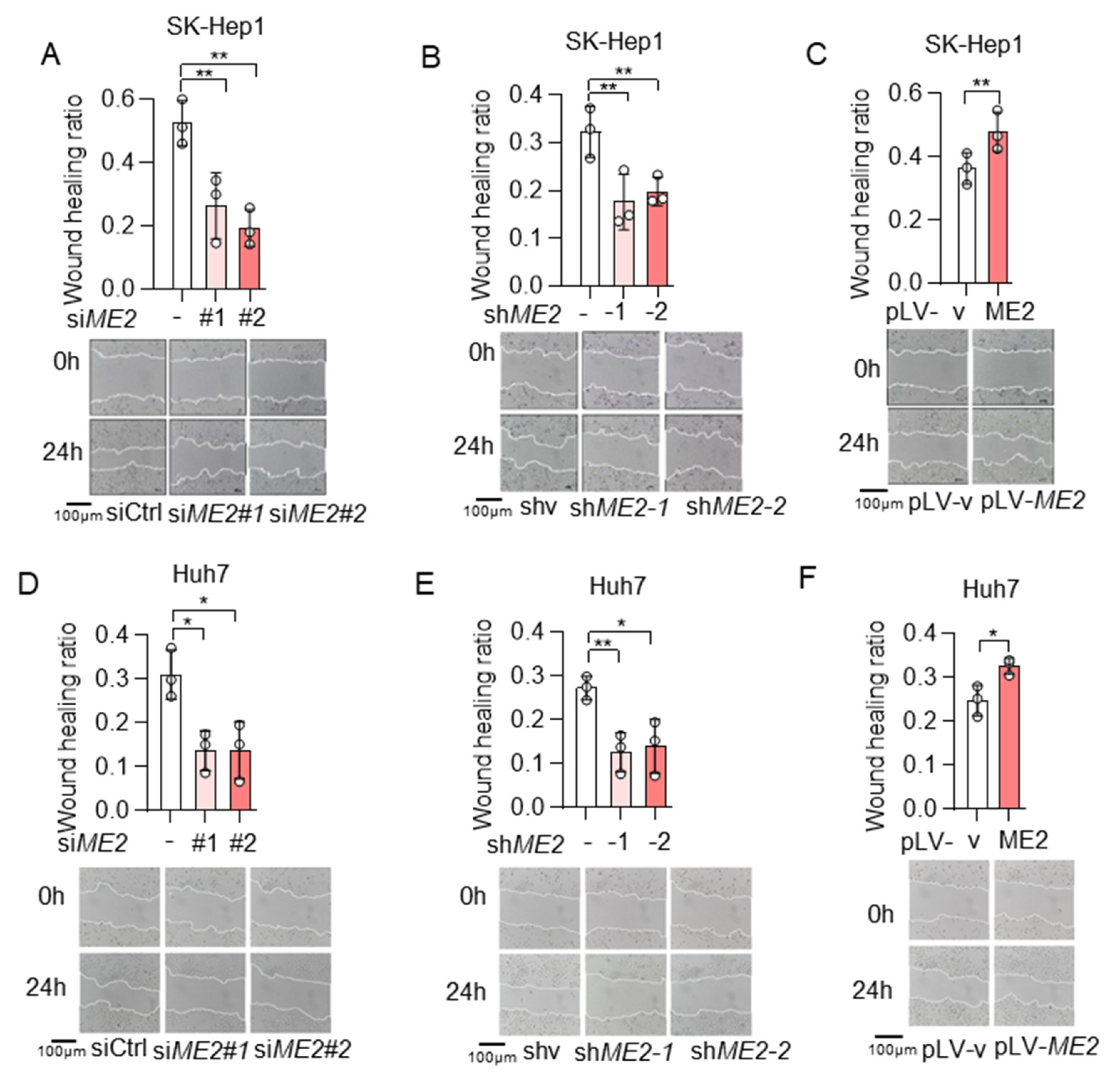 Metabolites 13 00540 g001