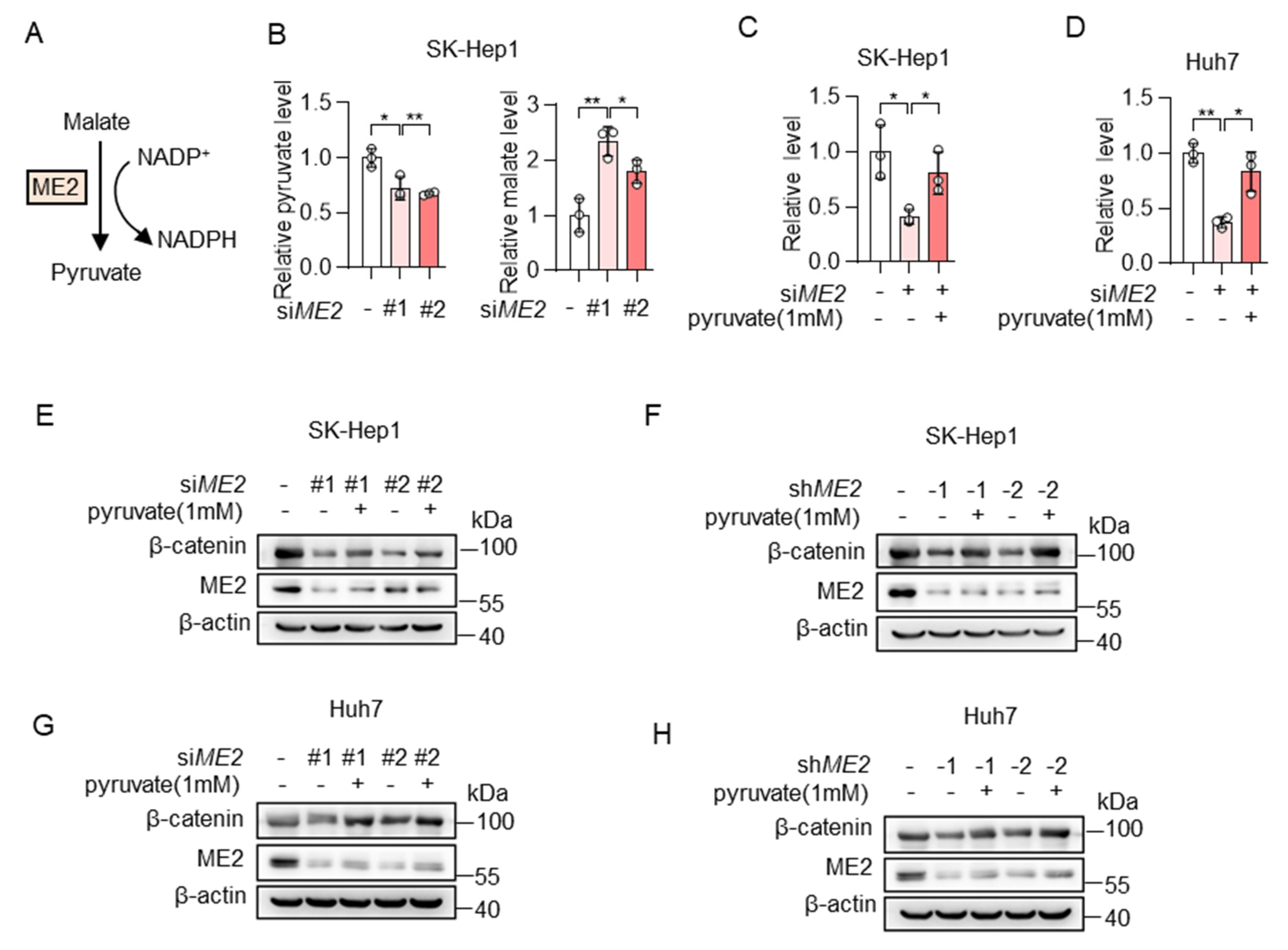 Metabolites 13 00540 g005