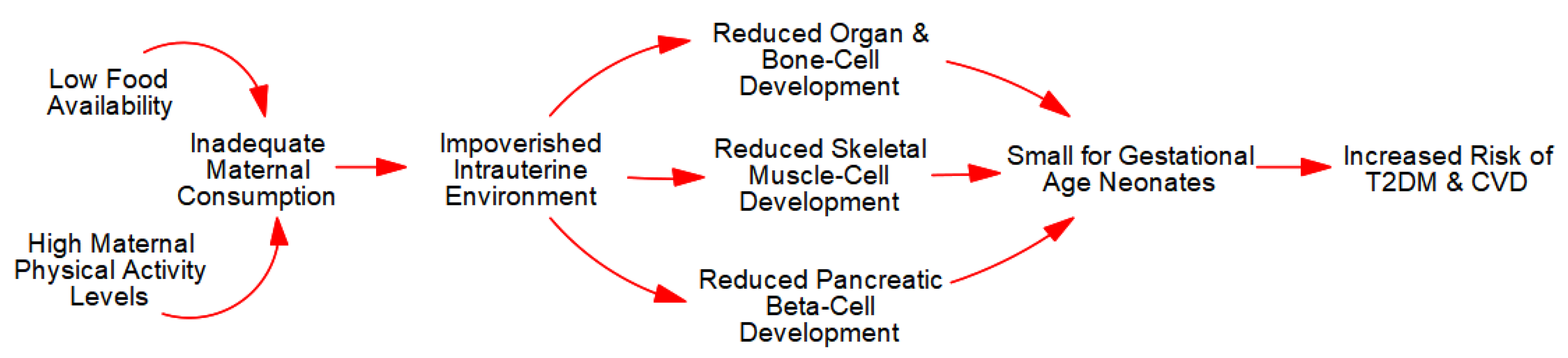 Metabolites 13 00545 g002 Metabolites 13 00545 g002