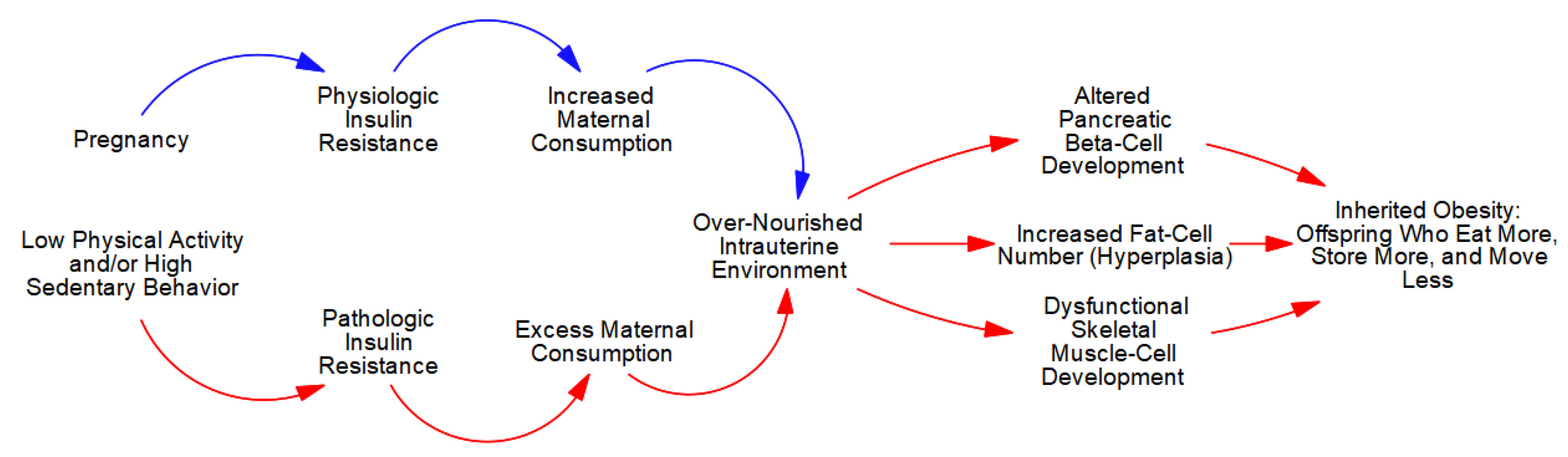 Metabolites 13 00545 g003 Metabolites 13 00545 g003