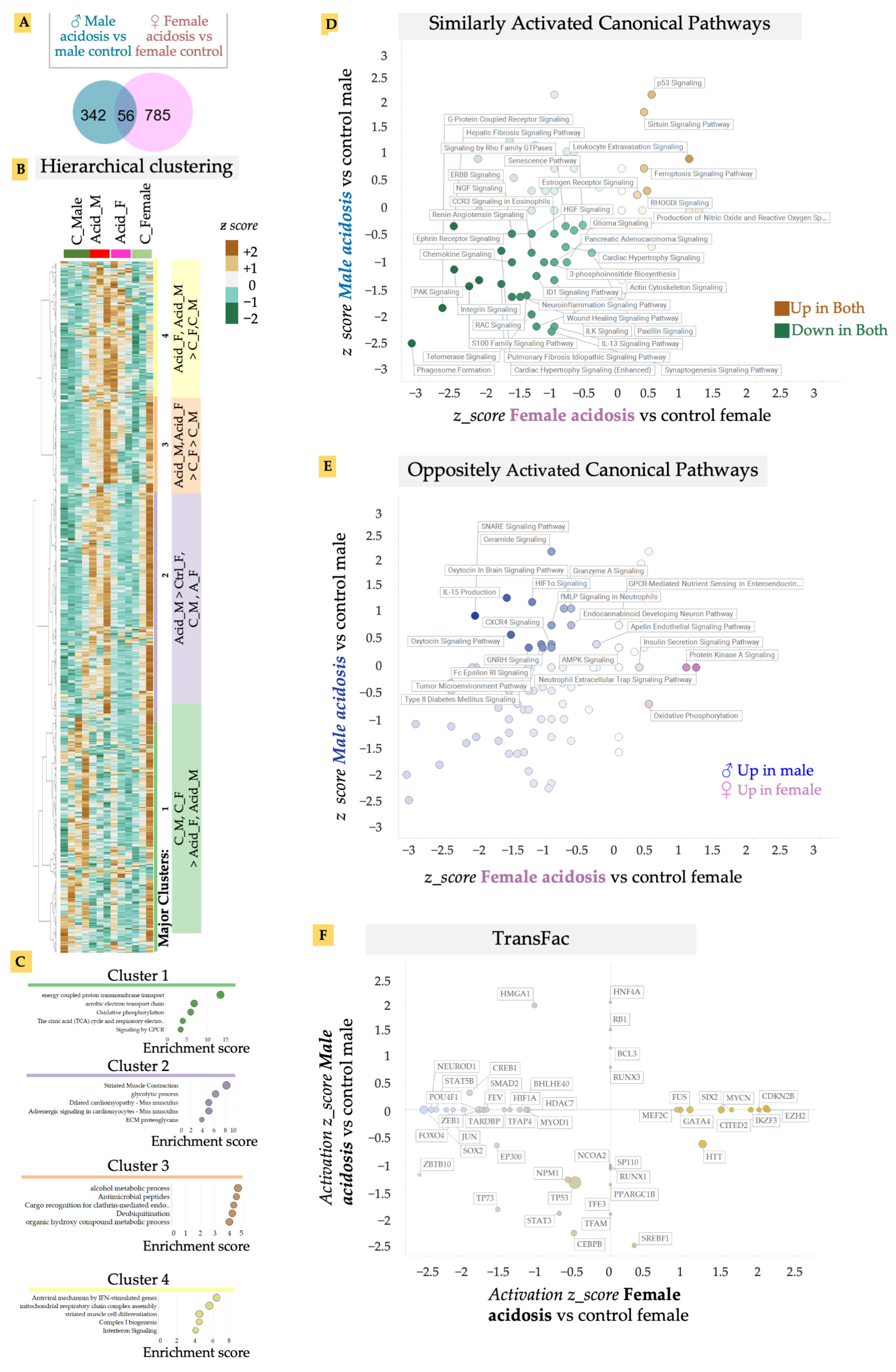 Metabolites 13 00549 g002 Metabolites 13 00549 g002