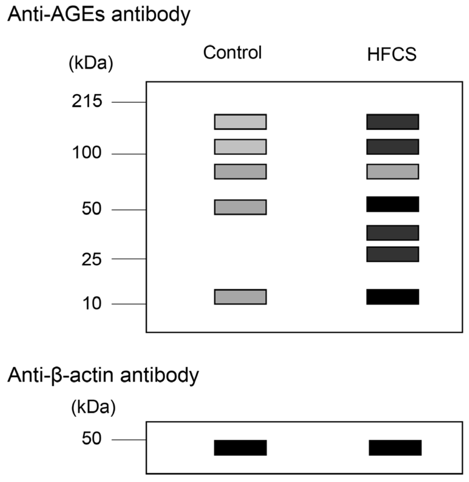 Metabolites 13 00564 g004 Metabolites 13 00564 g004