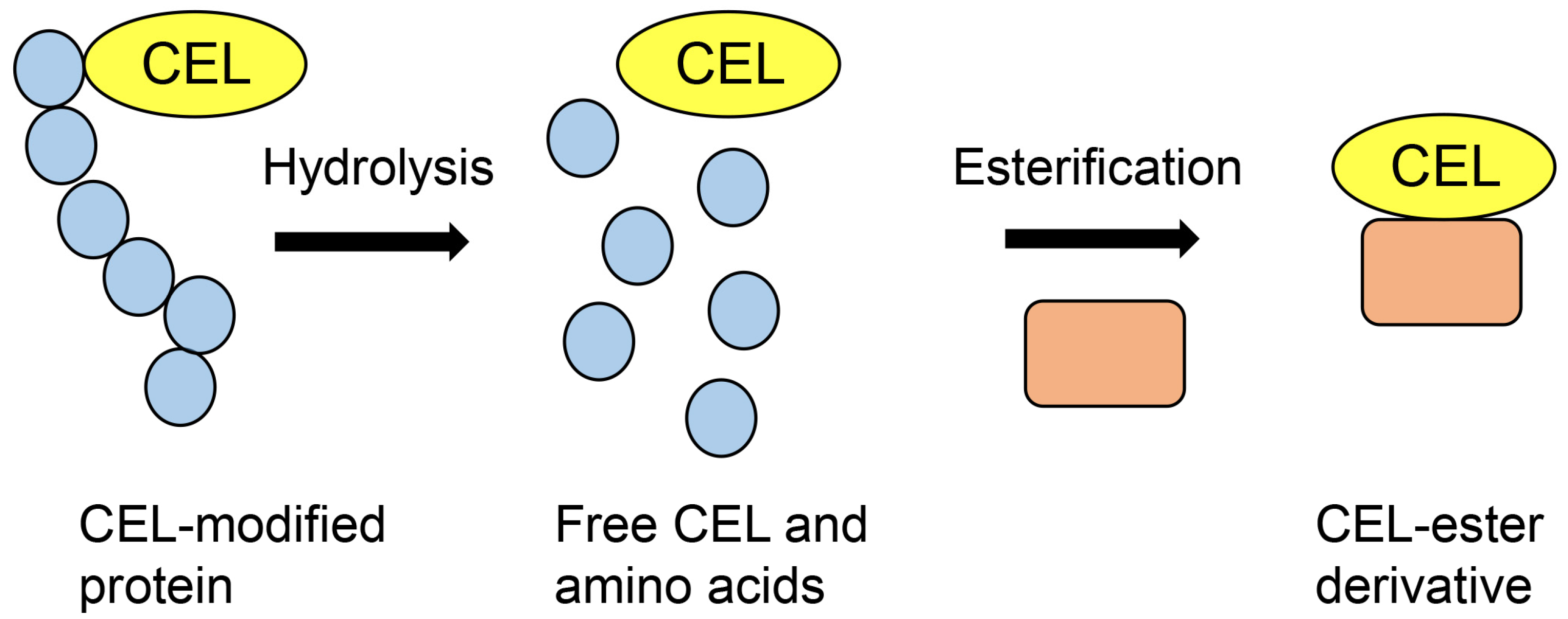 Metabolites 13 00564 g006 Metabolites 13 00564 g006