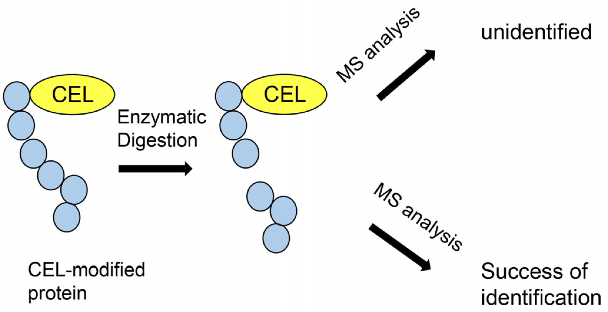Metabolites 13 00564 g008 Metabolites 13 00564 g008