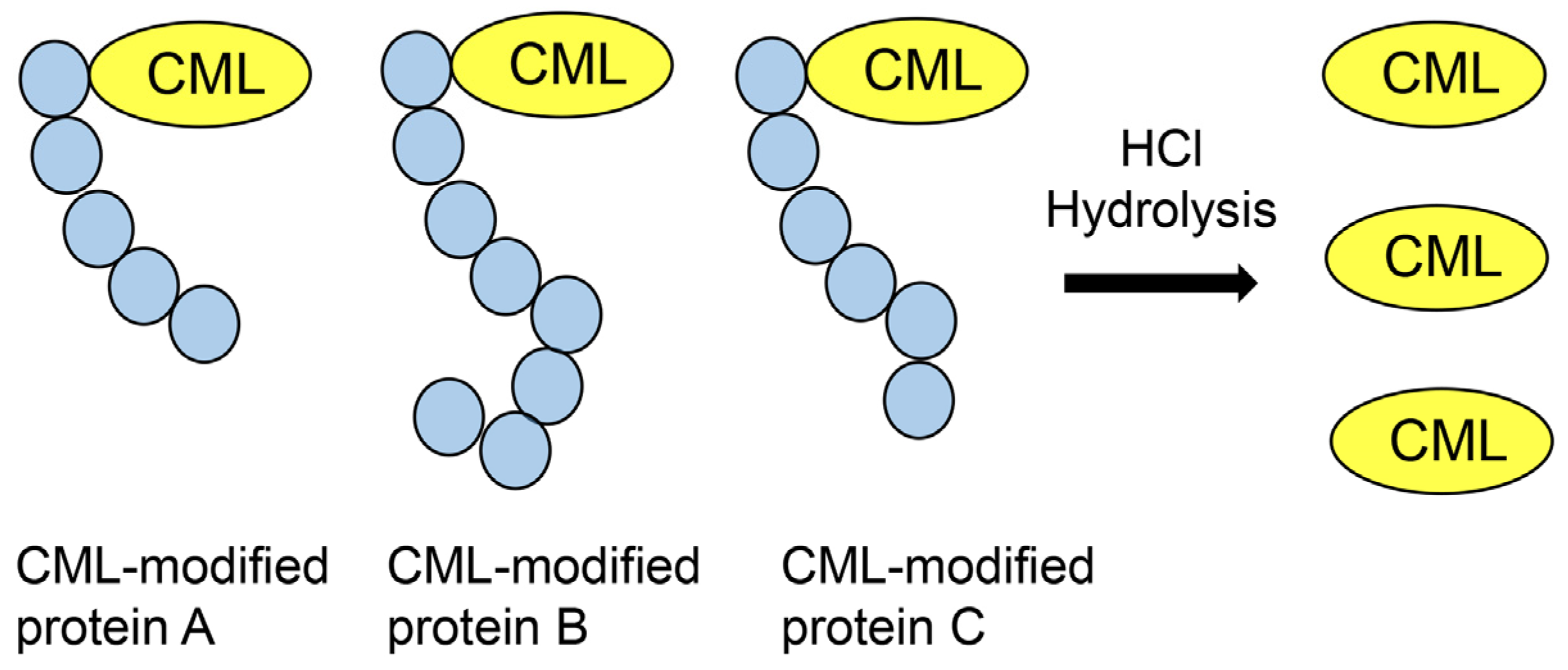 Metabolites 13 00564 g009 Metabolites 13 00564 g009