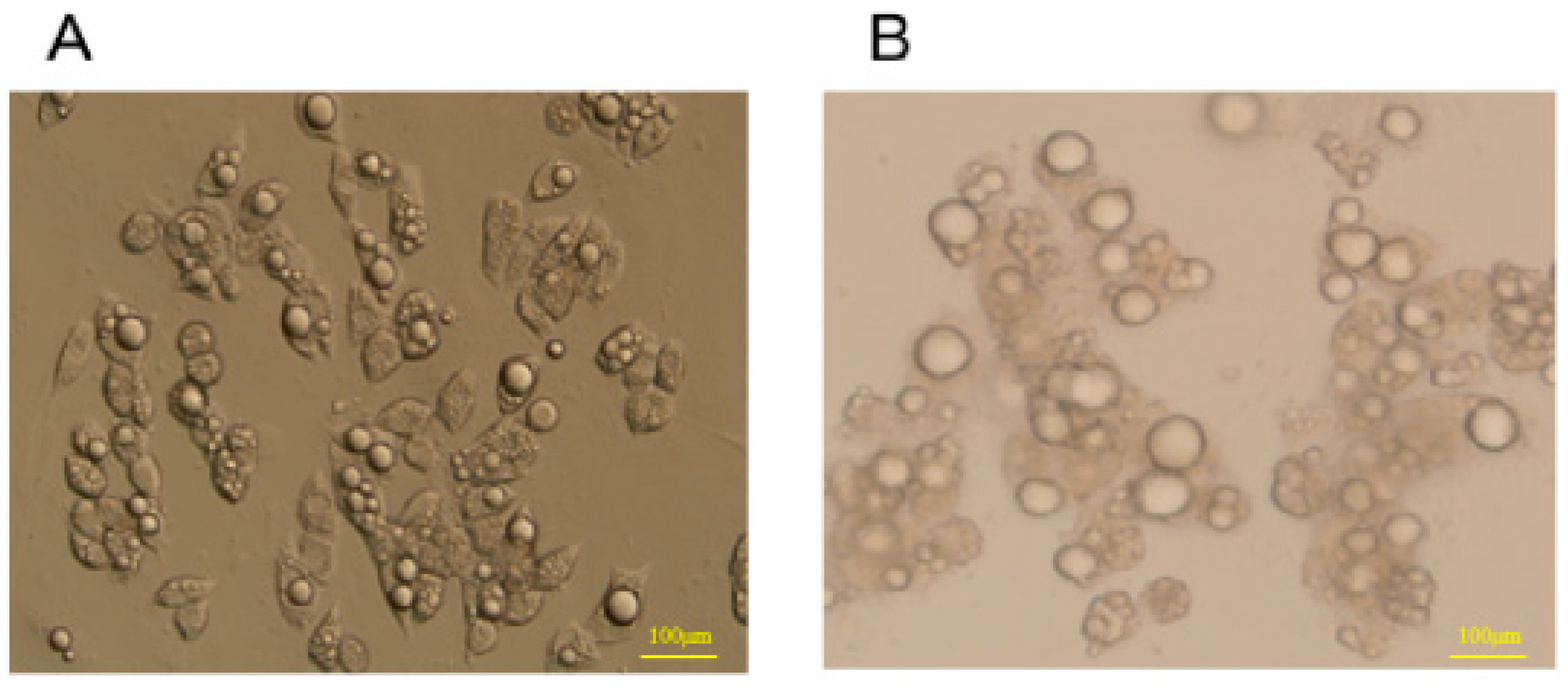 Metabolites 13 00568 g005