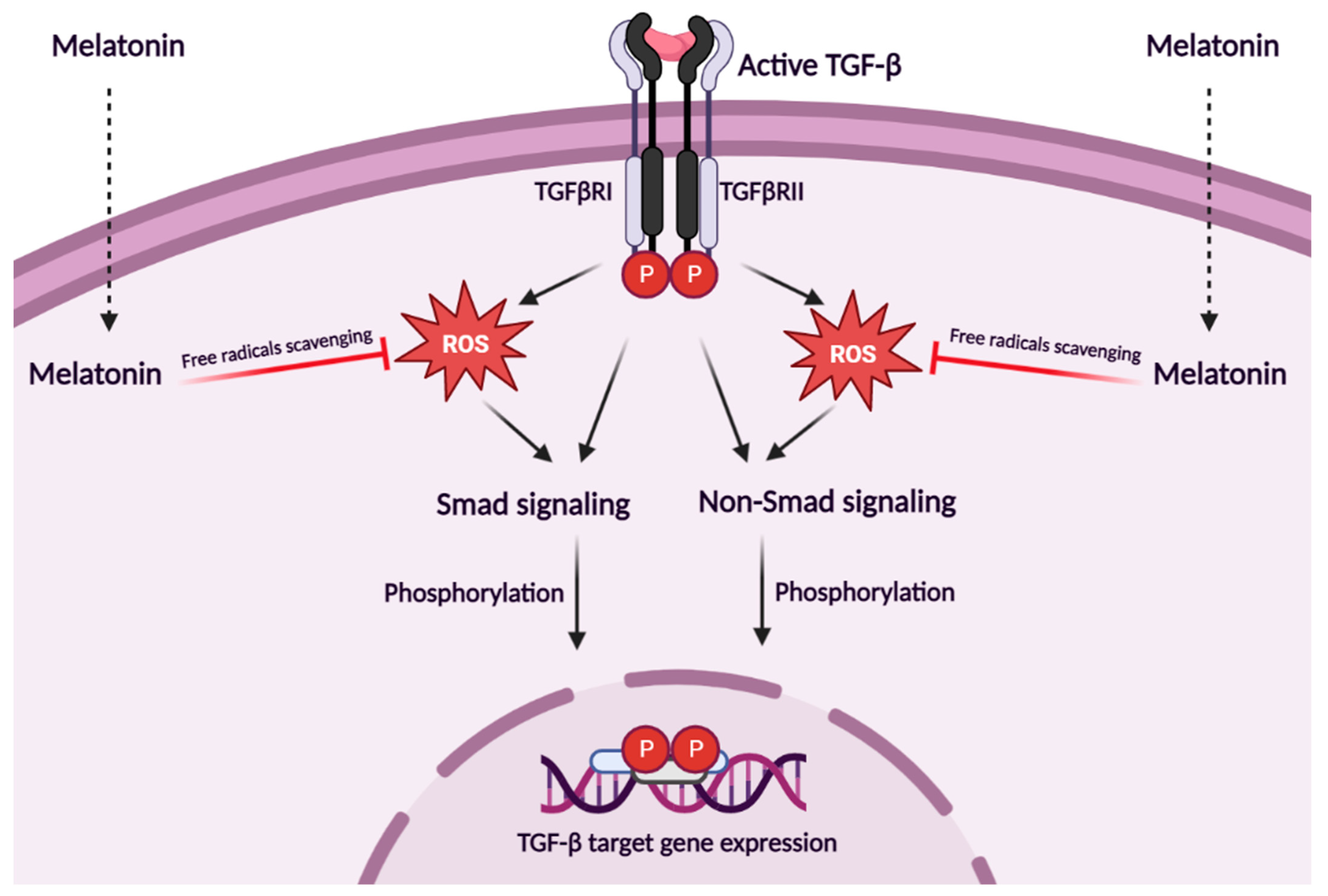 Metabolites 13 00575 g001