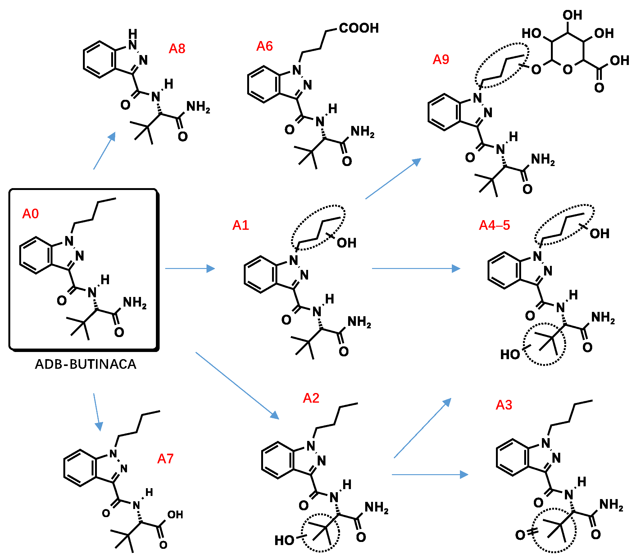 Metabolites 13 00576 g003