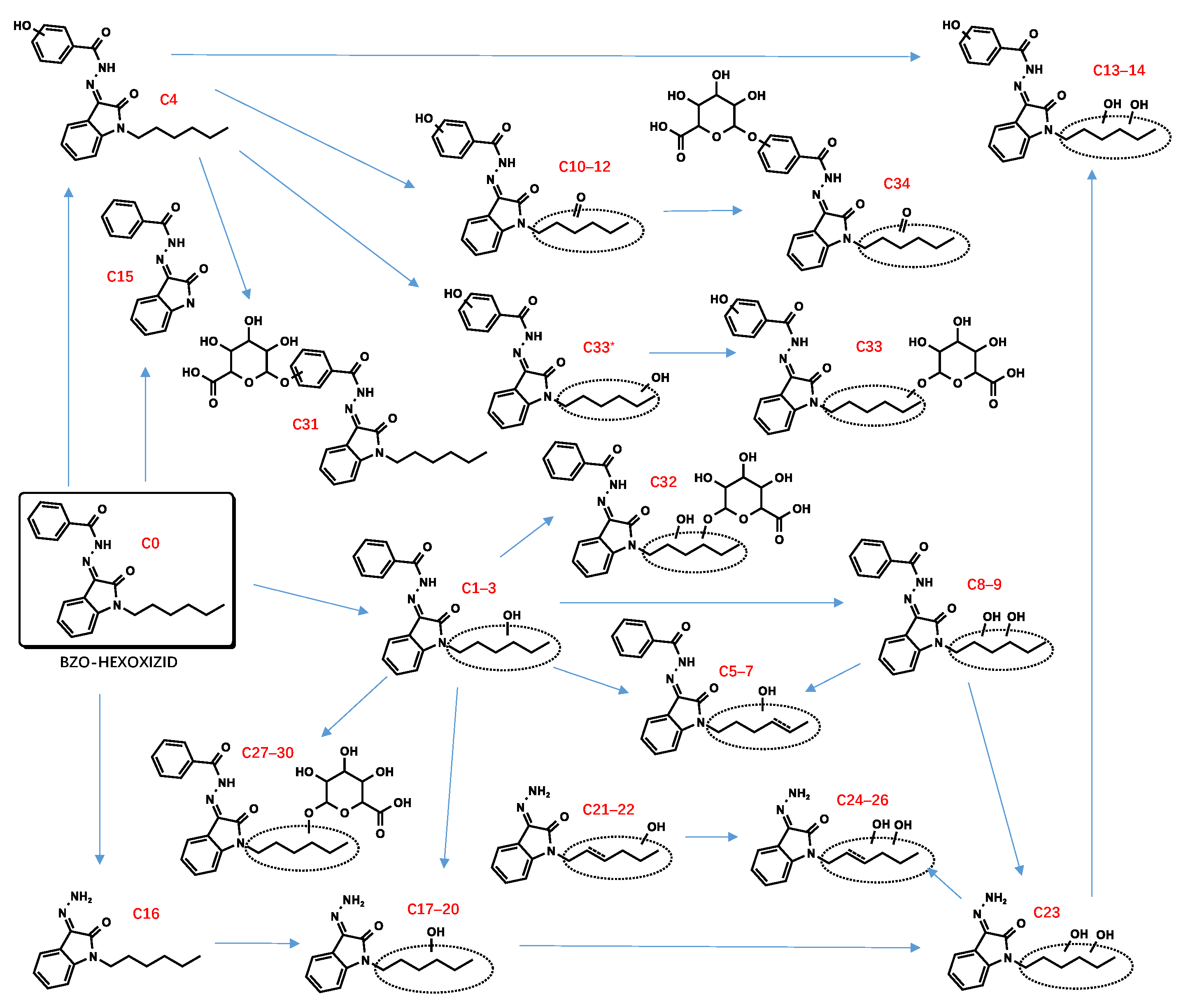 Metabolites 13 00576 g005