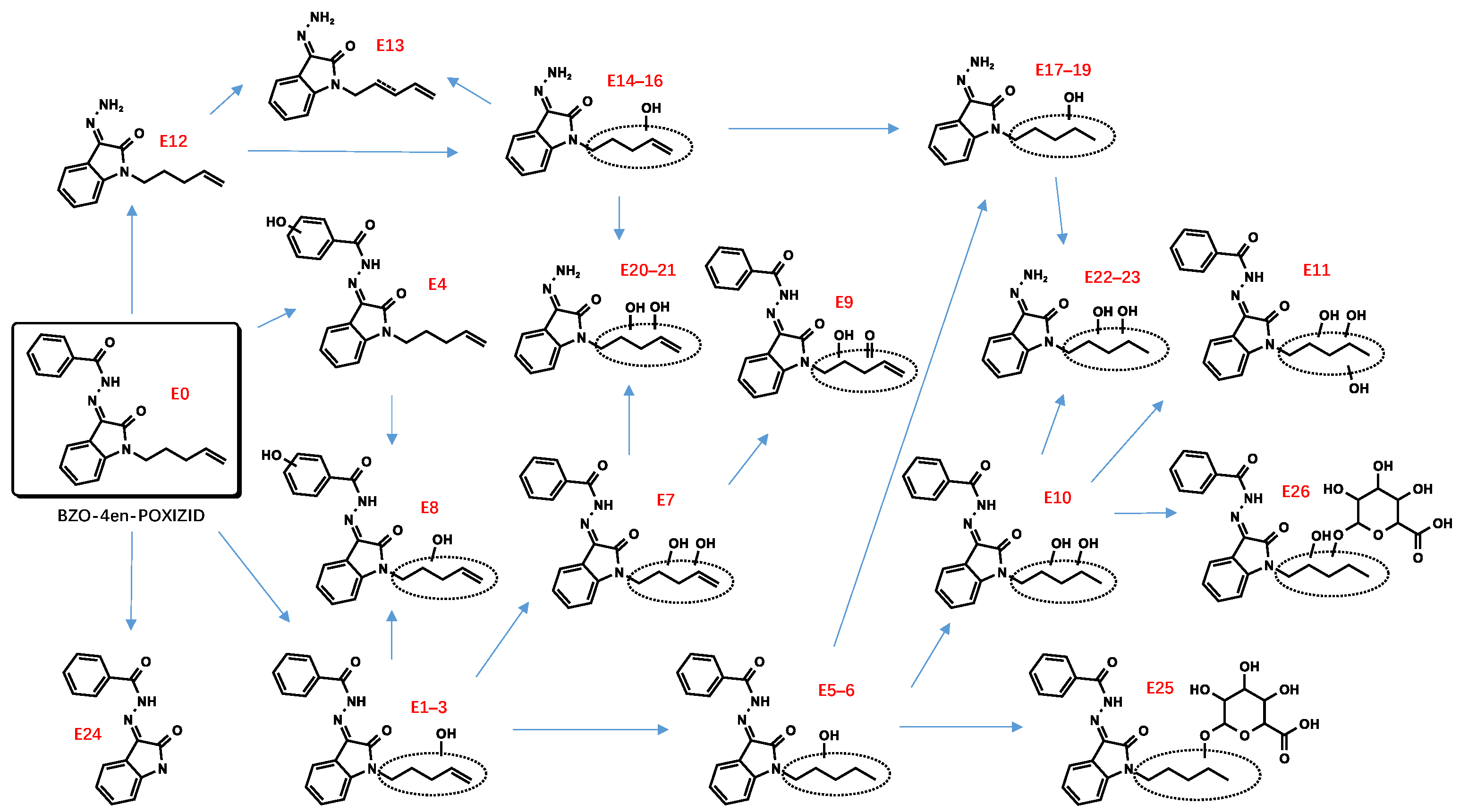 Metabolites 13 00576 g007