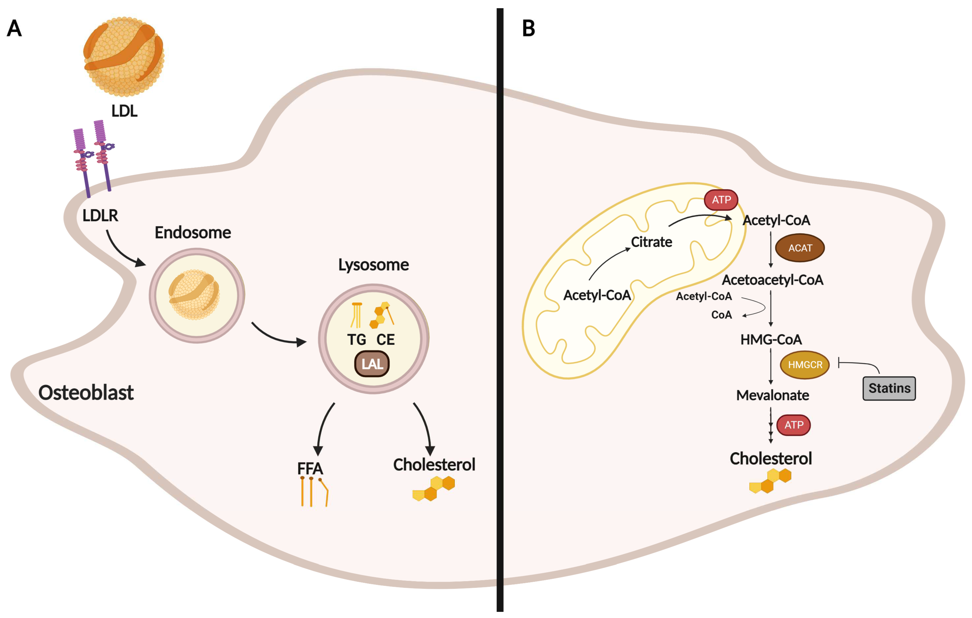 Metabolites 13 00578 g002 Metabolites 13 00578 g002
